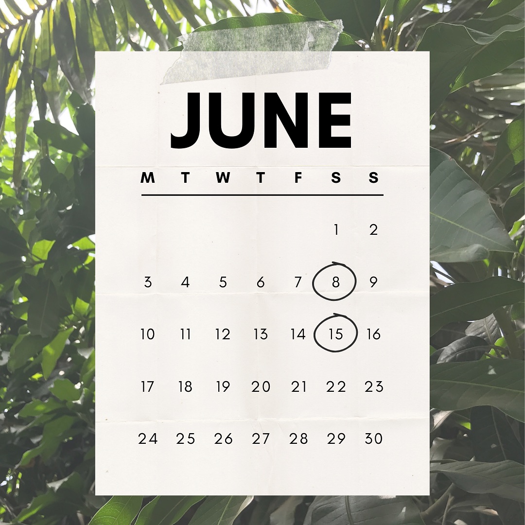 Summer market schedule ☀️ See you at the @loveburlington BTV Market in City Hall Park!