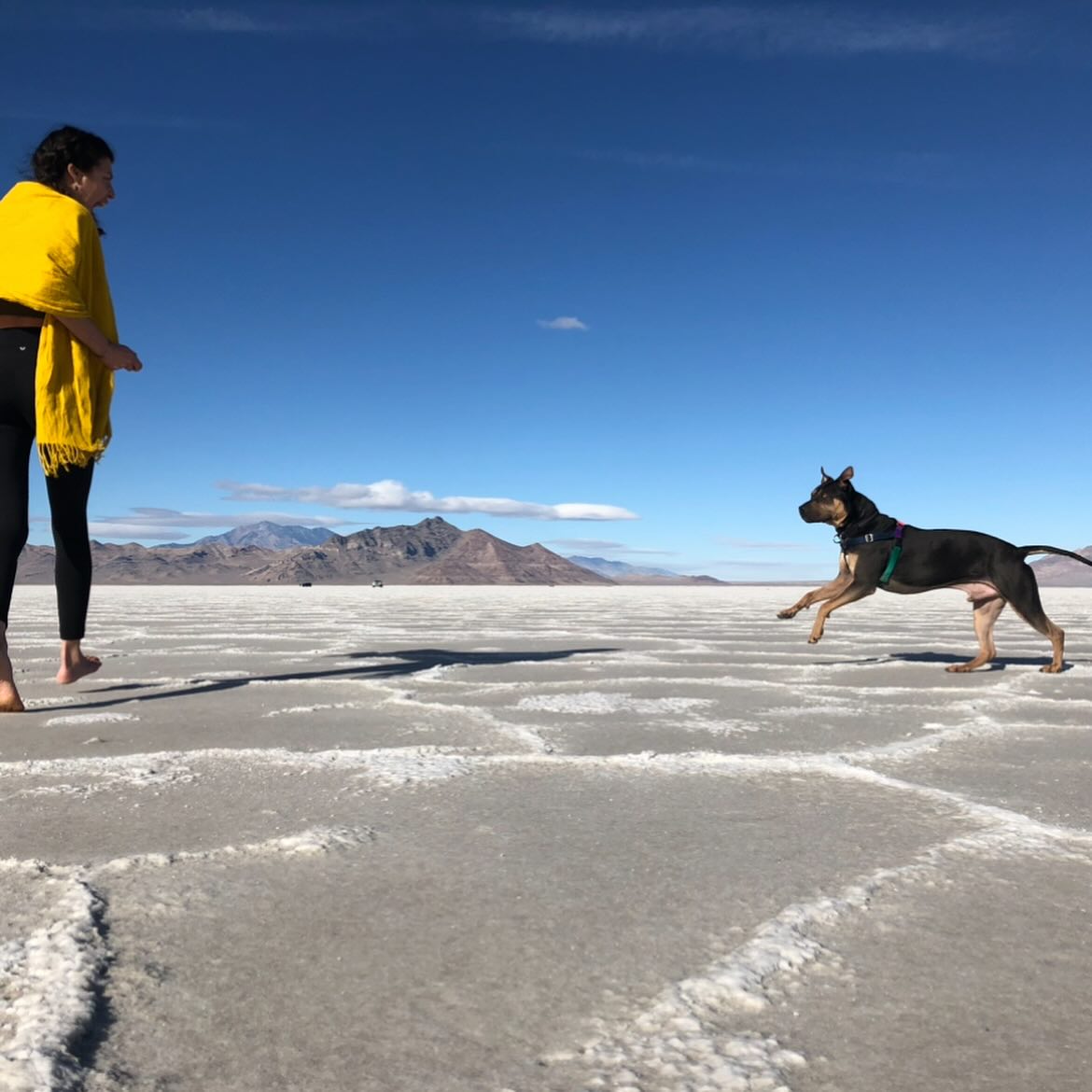 “All of us have to learn how to invent our lives, make them up, imagine them. We need to be taught these skills; we need guides to show us how. If we don't, our lives get made up for us by other people.”
~Ursula K. le Guin
We are often taught that to use our imagination is to be immature, irrational & unrealistic. Grow up, they said. Be logical. Don’t be so childish. What if what we’ve been taught about using our imaginations was a lie?
What if our imagination was not something that reflected a lack of experience, intelligence or knowing but rather was the very thing that allowed us to stretch ourselves into new forms, a magical tool that allowed us to actualize our hearts deepest longings & live our biggest, wildest dreams?
If we don’t use our imaginations, we will operate from the experiences of our past, meaning we will always be who we’ve already been. In order to expand ourselves into new heights, touching into spaces we have yet to grow before, imagination is absolutely essential. Our neurobiology is deeply informed by how we think, how we perceive, what we believe, and what we imagine. We are malleable beings that can take on new forms of our choice & the way that we can consciously shape ourselves is through unleashing our wildest fantasies & allowing them to flow through us through image, sensation, e m o t i o n, impulse & then aligning our actions to mirror that experience.
So, What can you imagine? How big can you dream? ✨🌹
If you are interested in learning more and receiving guidance in somatically creating this for yourself, I would love to support you. DM me to schedule a discovery call. 😘
#imagination #dreambigger #manifestation #lawofattraction