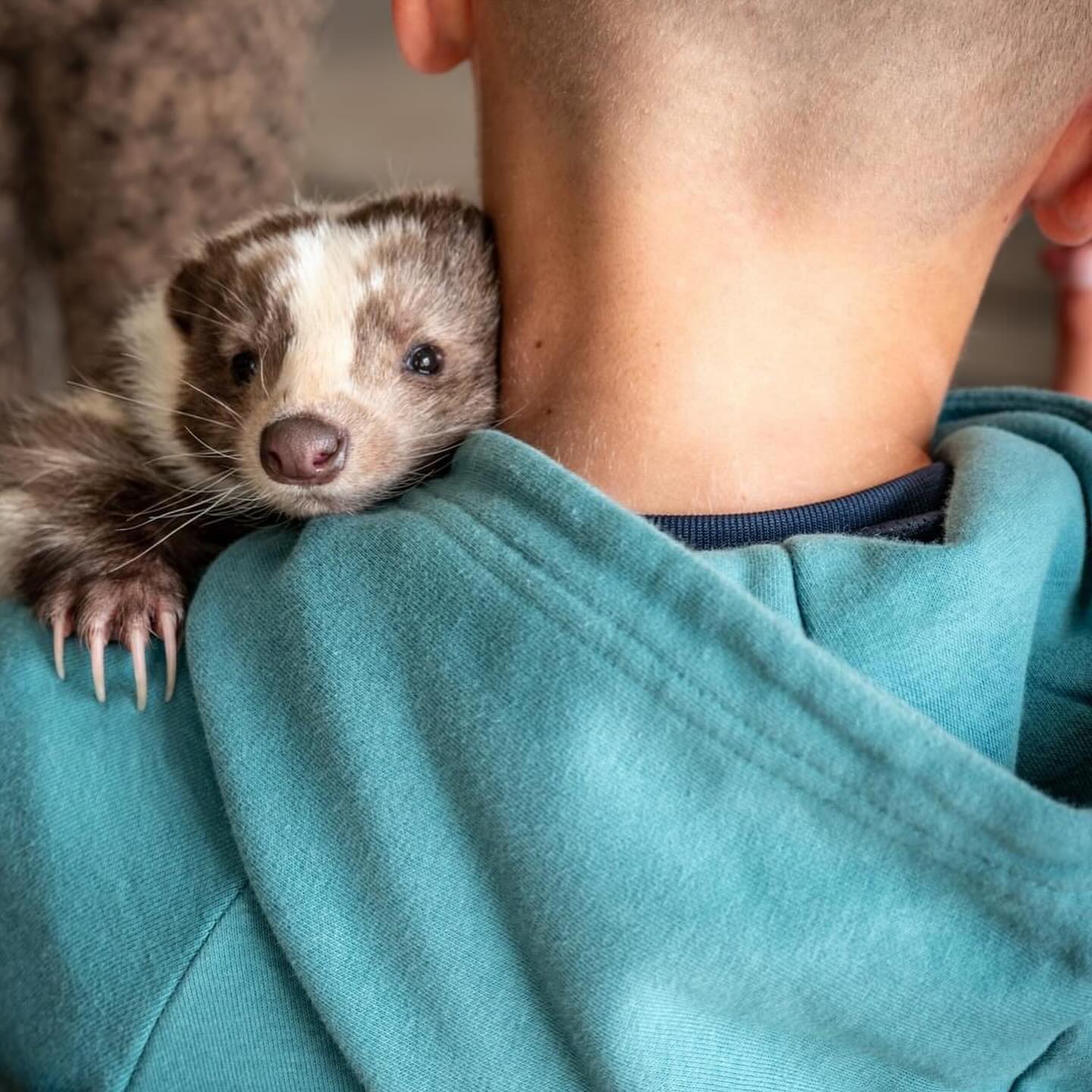 We had the best time with the young carers at The Young Carers Festuval earlier on this week. △⃒⃘Lways a pleasure working with @tremio_ap
#youngcarers #youngcarersfestival #youngcarersfestival2024 #funtimes #skunksofinstagram #goodday #eventphotography #eventphotographer