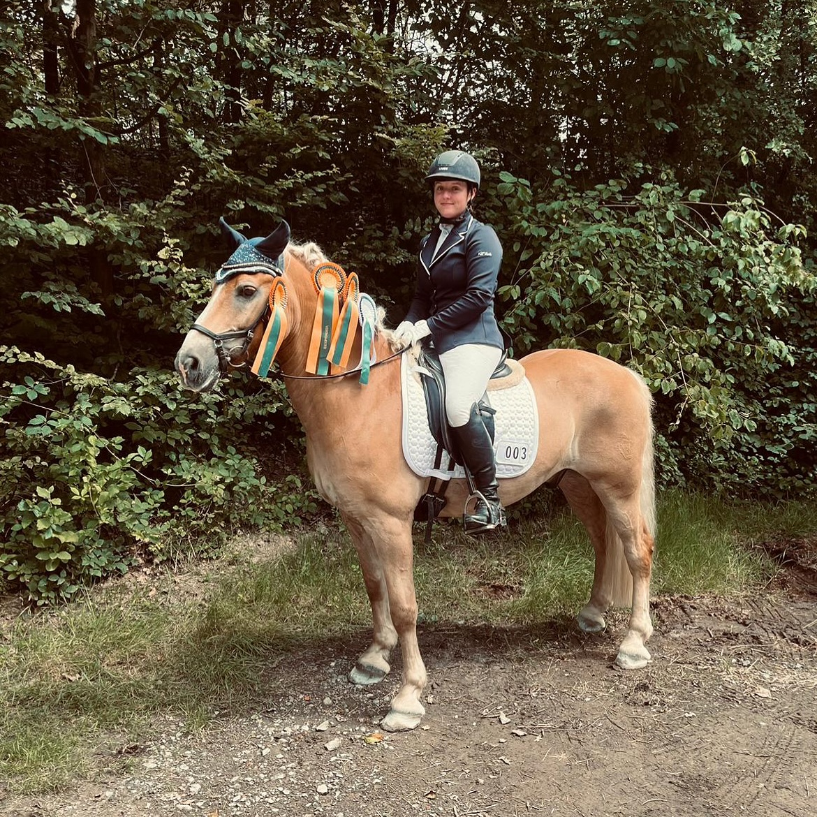 Am vergangenen Wochenende war Maxi mit ihrem „My Sunnyboy“ auf dem Turnier der Haflingerfreunde Rheinland.
Die beiden konnten das Stil-E sowie das Idealzeit-E Springen gewinnen 🥇 Im Stil-A erreichten die beiden Platz 🥉🐴