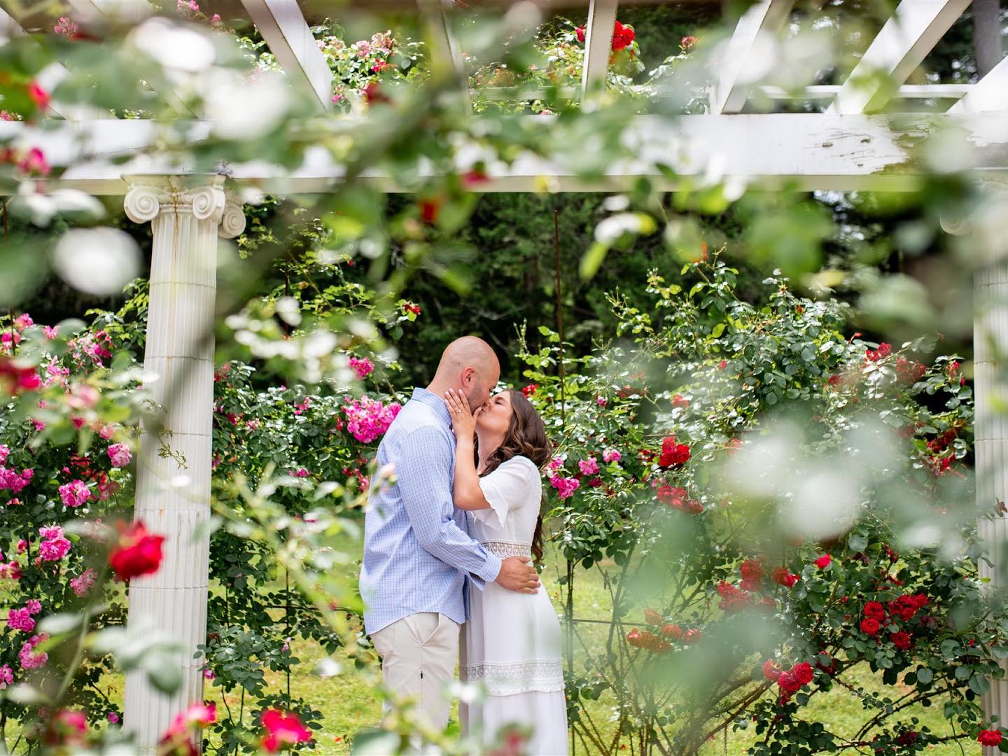 Summer shoots in saratoga 🥰🫶