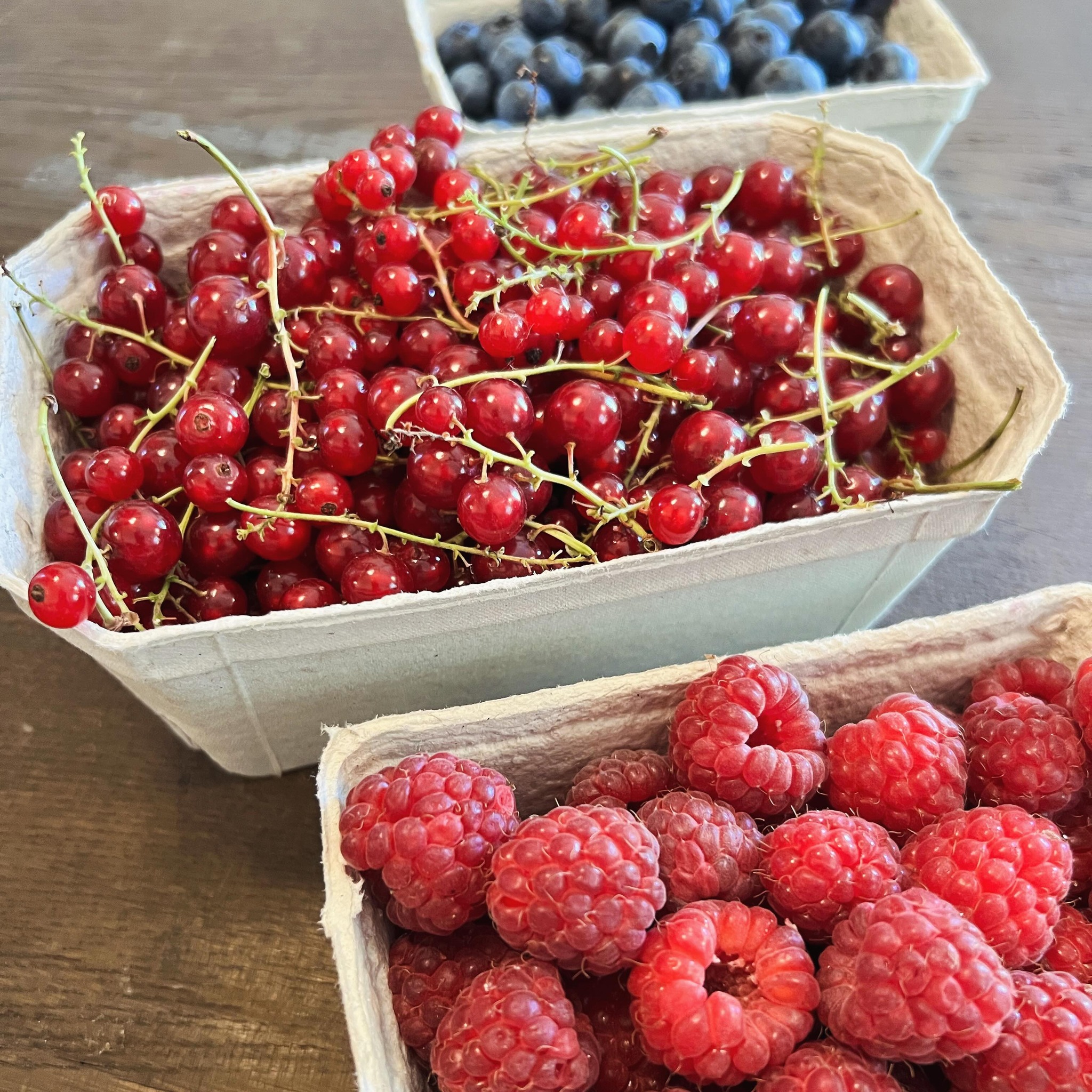 Info zu unseren Öffnungszeiten ❗️
Ab diesem Jahr haben wir im Sommer keine fixen Öffnungszeiten mehr sondern folgen dem Rhythmus der Natur: wenn uns unsere Beerenfelder viele reife Beeren schenken, öffnen wir unsere Tore und geben es hier und auf unserer Website bekannt ☺️
Heute frisch:
- Himbeeren
- Ribisel
- Heidelbeeren
Gerne könnt ihr euch auch telefonisch bei uns melden und Beeren reservieren: 0650 3941565
#prennerbeerenkultur #marchfeld #himbeeren #heidelbeeren #ribisel