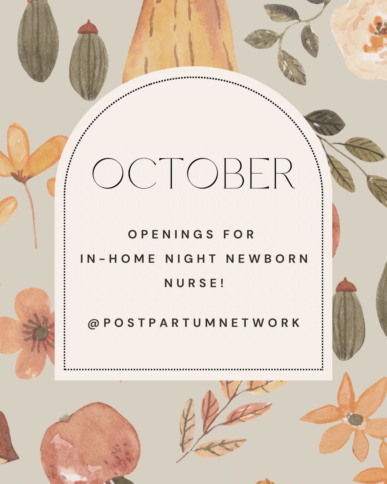 We have openings this October for our night nurse services in Nashville + Clarksville! 🌙👶 DM us or click the link in our bio to reserve support for your newborn. #postpartumnetwork #postpartum #registerednurse #nightnurse #newborn #baby #sleeptips #sleep #nashvilletn #nashville #clarksvilletennessee #clarksvilletn #NashvilleParents #nightnurselife #newborncare #october #sleepsupport #newparentlife #nashvillenewborn #feeding #breastfeedingmom #4thtrimester #support #clarksvillelocal