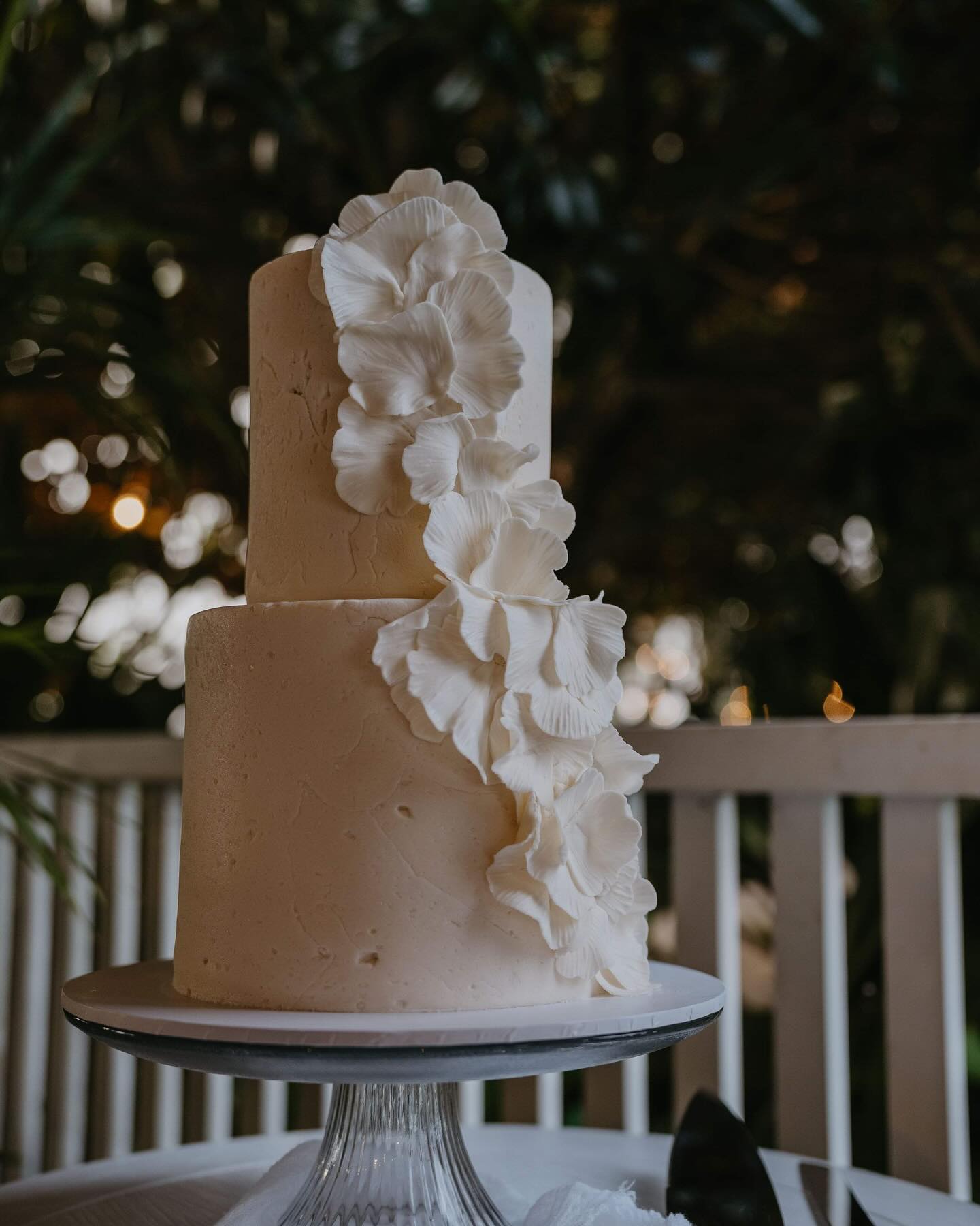 Hayley & Alexandar
11th March 2024 @byronviewfarm with…
@__elope__
@theweddingshed
@byronbayweddings
📷 @brendan_back