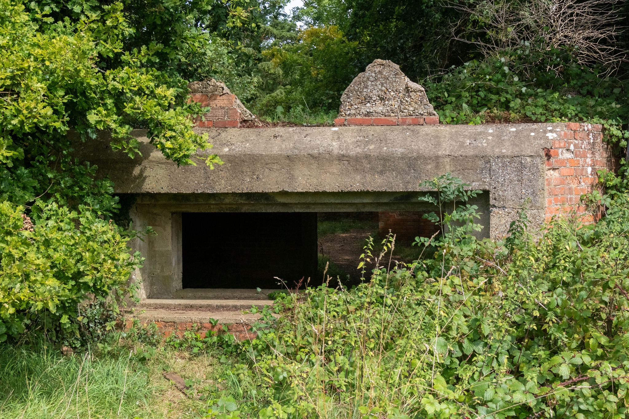 Savez-vous ce qui unit Lorient, Saint-Nazaire et Bordeaux ?
⚓️ Ces trois villes ont fait des vestiges de la Seconde Guerre mondiale des pôles d’attractivité touristique.
Cicatrices béantes de conflits passés, les bunkers défient toujours le temps. Ils se transforment aujourd’hui en curiosités touristiques. Une reconversion audacieuse et réussie à découvrir dans Envies de ville, le magazine de Nexity Transformation des Territoires.
Lien 🔗 en bio " à la une"