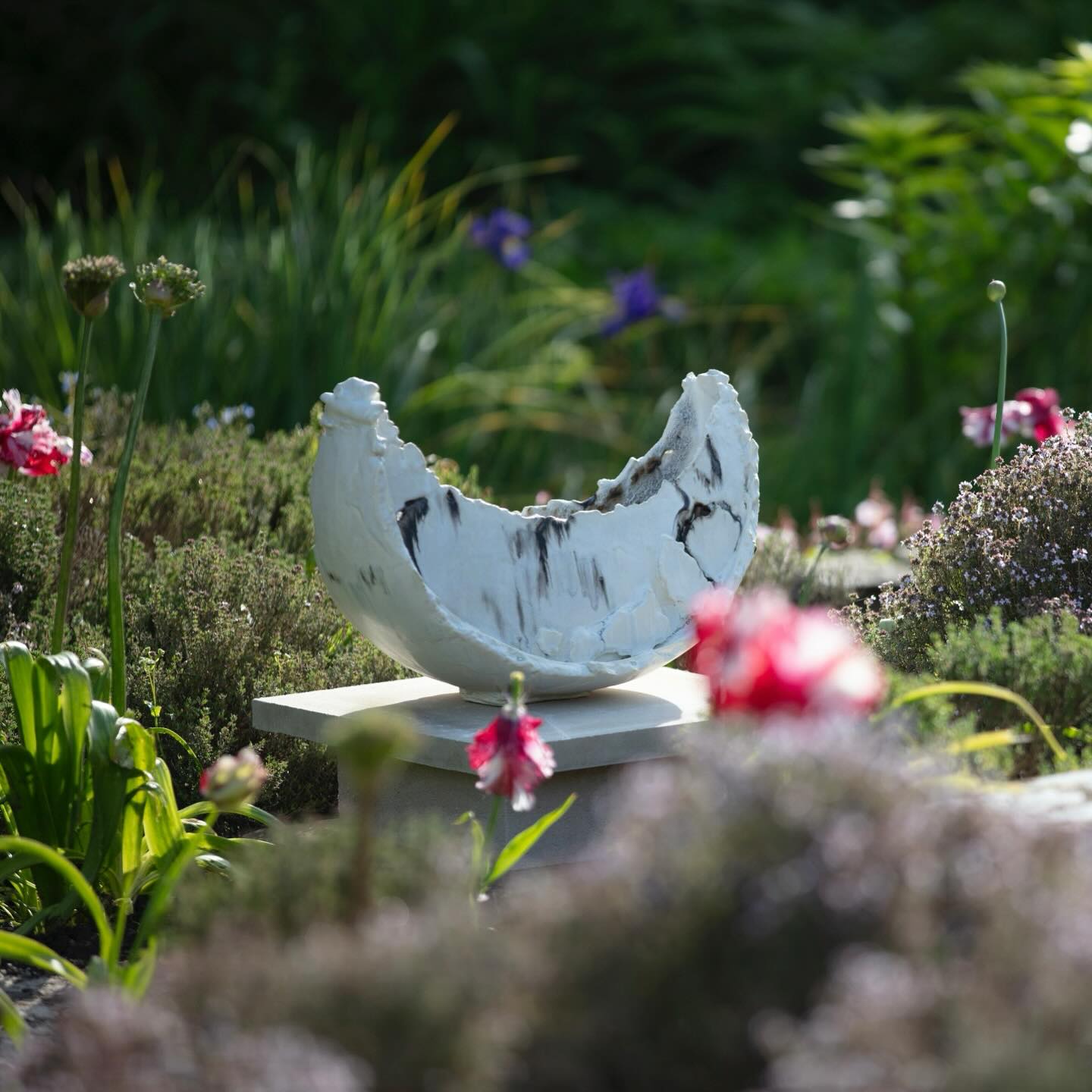 .
Crescent 🌒
‘It’s just a phase I’m going through’ an exhibit consisting of four ceramic sculptures for Fresh Air Sculpture 2024.
Created in response to the shapes that are visible during the waxing and waning of the moon, - Full, Crescent, Quarter and Gibbous.
The exhibit is designed to be a contemplation on both the beauty of our ever-changing moon and the impact of the passing of time on human experience.
@freshairsculpture
Beautiful photography by @steverusselstudios 🙏
•
•
•
#sculpture
#art
#ukartist
#sculpturalvessel
#newwork
#firedthings
#katewindibankart
#ceramics
#ceramicart
#ceramica
#céramique
#contemporaryceramics
#contemporarysculpture
#contemporarycraft
#interiordesign
#interiorbeauty
#naturedesign
#sculpture
#art
#wabisabi
#clay
#陶芸
#digswellarts
#ccdirectory
#craftpottersassociation