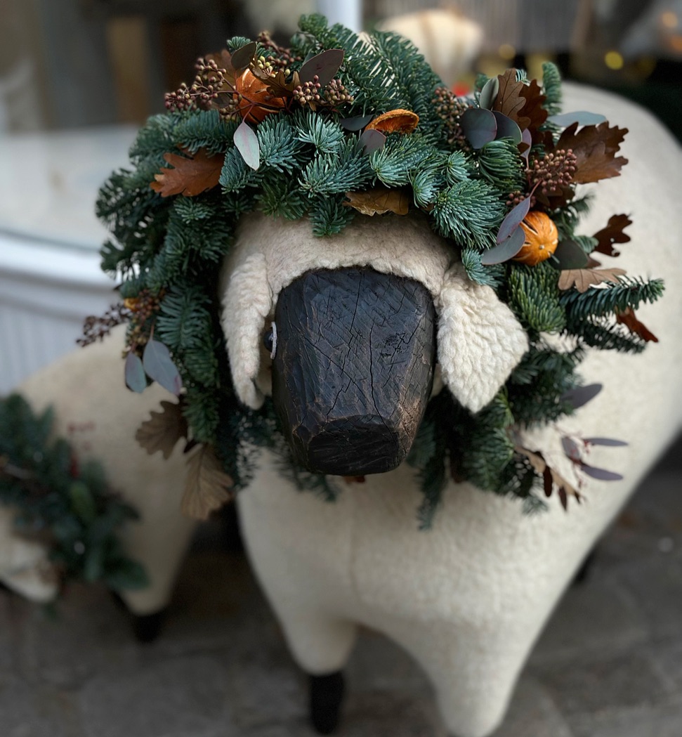 Dressed for the season 🌲🎄
#christmas #christmasdecor #christmasdecorations #christmasgifts #galwaycity #christmasingalway #sheep #thesheep