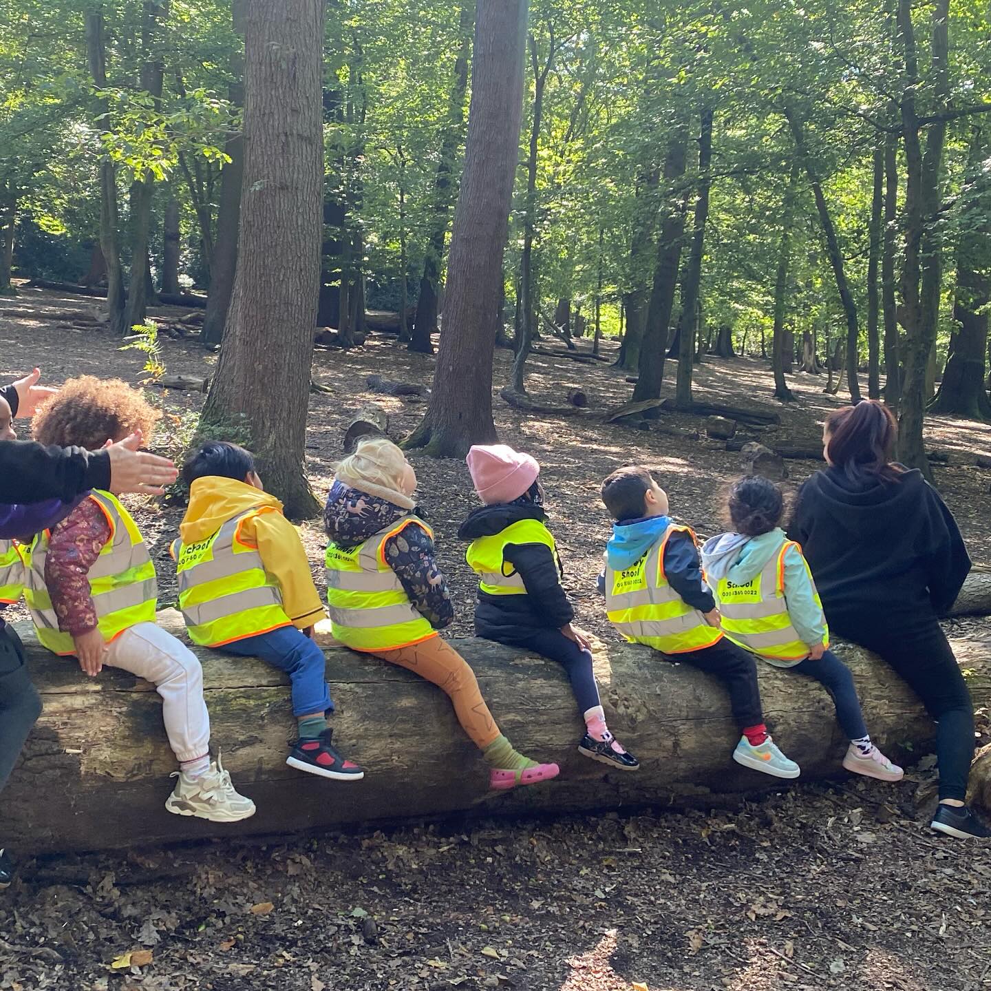 🍂Time to take a trip 🍂
Our children loved going to our local green space to collect leaves and acorns to bring back to nursery to use in all of our upcoming autumnal activities.
We love taking our little ones to explore the local area, enriching their cultural capital whilst also learning about road safety!
#nursery #eyfs #culturalcapital #localtrip #nurseryschool #earlyyearslearning