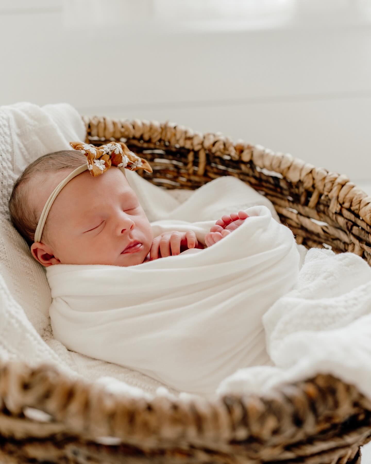 Had a precious little guest in my studio this past weekend. 🩷 I photographed her parent’s wedding last spring, so having this little one in the studio was extra special!
I may sound like a broken record at this point, but I don’t really care. The ease of having access to all of my swaddles and props at the studio for a newborn session is just the best. Mom and dad can just show up with baby and I’ll do the rest. 🤍
#hattiesburgphotographer #hattiesburgnewbornphotographer #mississippiphotographer #mississippinewbornphotographer #southmsphotographer #southlouisianaphotographer #neworleansphotographer #neworleansnewbornphotographer #nolaphotographer #nolanewbornphotographer #studionewbornphotography #newbornphotography