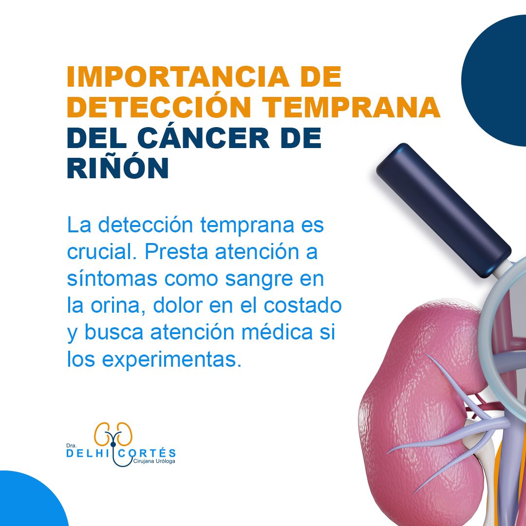 👉Mantener un estilo de vida saludable con una dieta equilibrada, ejercicio regular y evitar el tabaco puede contribuir a la prevención y el bienestar general.
Agenda tu cita 👇
⚕️Doctoralia: https://www.doctoralia.com.mx/yeniseik-delhi-cortes-vazquez/urologo/san-andres-cholula
📞 Teléfono: 222 227 2713
✅ WhatsApp: 561 213 3757
Dirección:
📍 Periférico Ecológico 3507, int. 1229, Col. Emiliano Zapata, San Andrés Cholula
Horarios:
🕗Martes y jueves de 16:00 a 20:00 hrs
🕗Sábados de 10:00 a 14:00 hrs
👩⚕️ Dra. Delhi Cortés
Médico general, C.P. 09137489
Especialidad en urología, C.P. 12342044
Certificación del consejo Mexicano de Urología, 1787
#urología #urologo #médicourologo #urologa #urologocholula #urologacholula #médicocholula #urologoTlaxcala #Puebla #Tlaxcala #Cholula