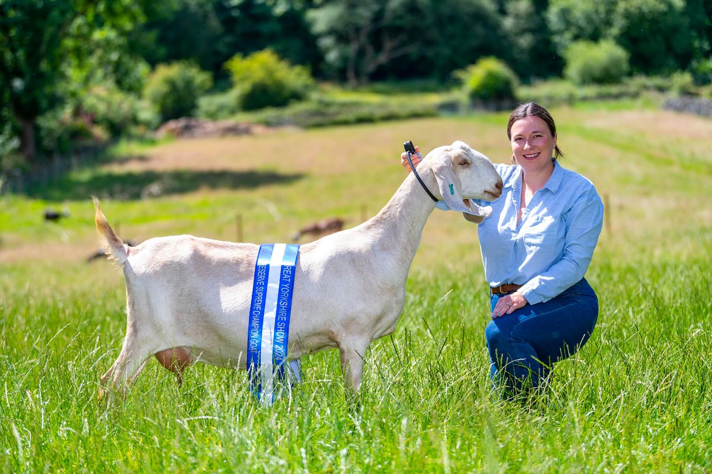 MARSHVALLEY ELARIA 🥇
Unbelievably happy this morning! We’ve been waiting for our results from @greatyorkshireshow to be confirmed by @britishgoatsociety online and they have!
Elaria got Reserve Best in Show but the winning goat didn’t hold its tickets due to milk points which means Elaria was awarded the Challenge Certificate. She’s walked away with a CC, IPCC & BCC. So proud of her!
Love the photos taken of her for The Yorkshire Post
Photo Credit: @theyorkshirepost @snapperjim
.
.
#marshvalleysoap #greatyorkshireshow #yorkshirepost #anglonubian #showgoats #champion #soproud #livestockshow #agriculturalshow #lovewhatyoudo #bestjobever #familyrunbusiness