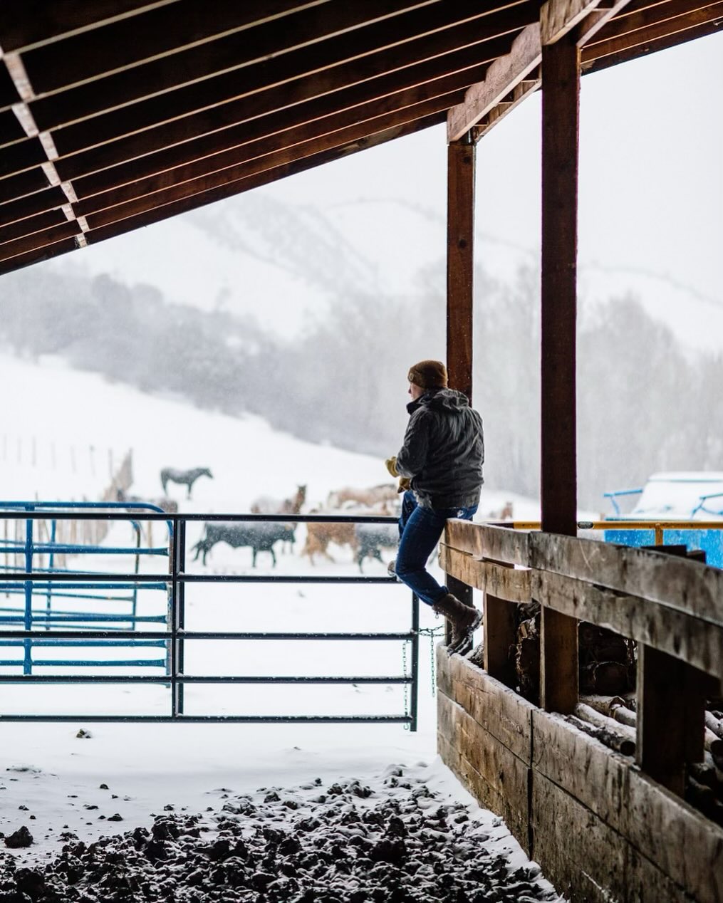 Leaving an incredible 2023 behind us and looking ahead to an even better 2024. We hope you’ve all had a wonderful holiday season with your loved ones. We can’t wait to continue to do our best work to bring you quality content, events, and athletes as we forge ahead with the best community and supporters in the world. Thank you for being with us and sticking with us. #toughdraw #holdon #allin