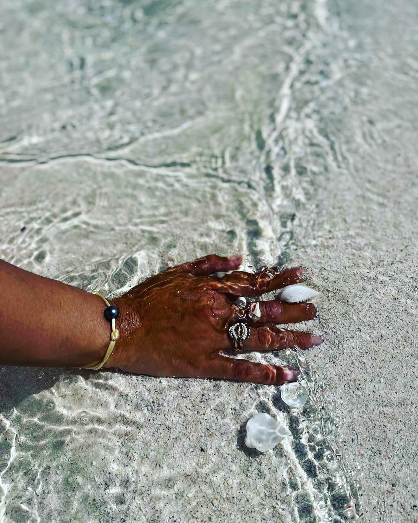 Your perfect partner for the season 🐚