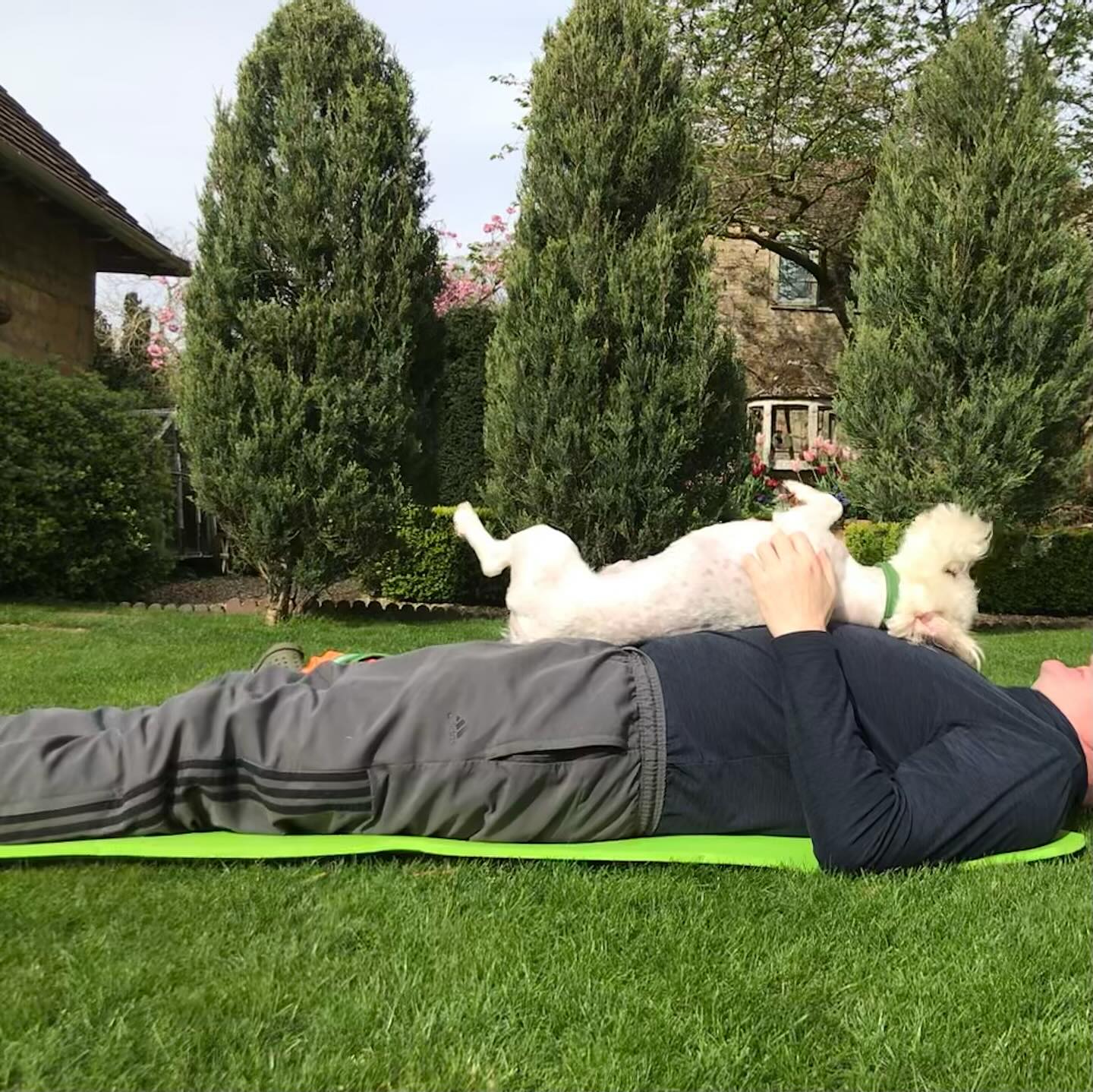 First outdoor yoga session of the year! The dog definitely enjoyed it 😂 so good to see some swallows flying overhead too. #summeriscoming #fieldyogaiscoming