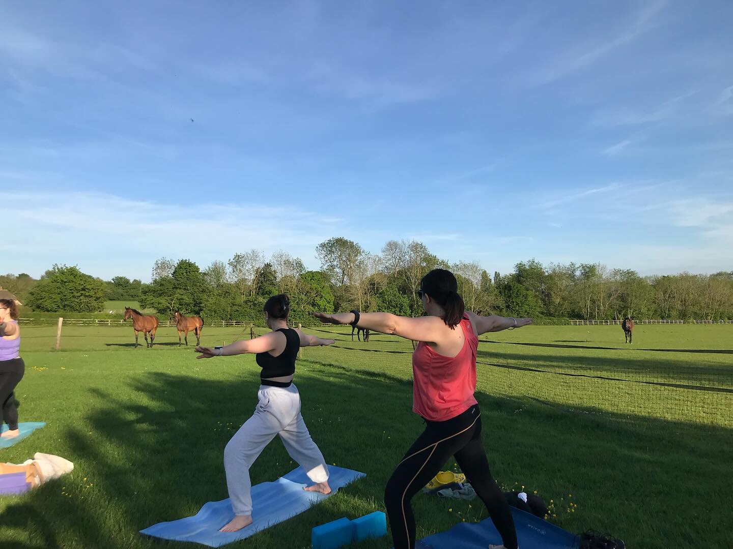 The return of field yoga with background horses! #hotyoga #outdooryoga #overburyyoga