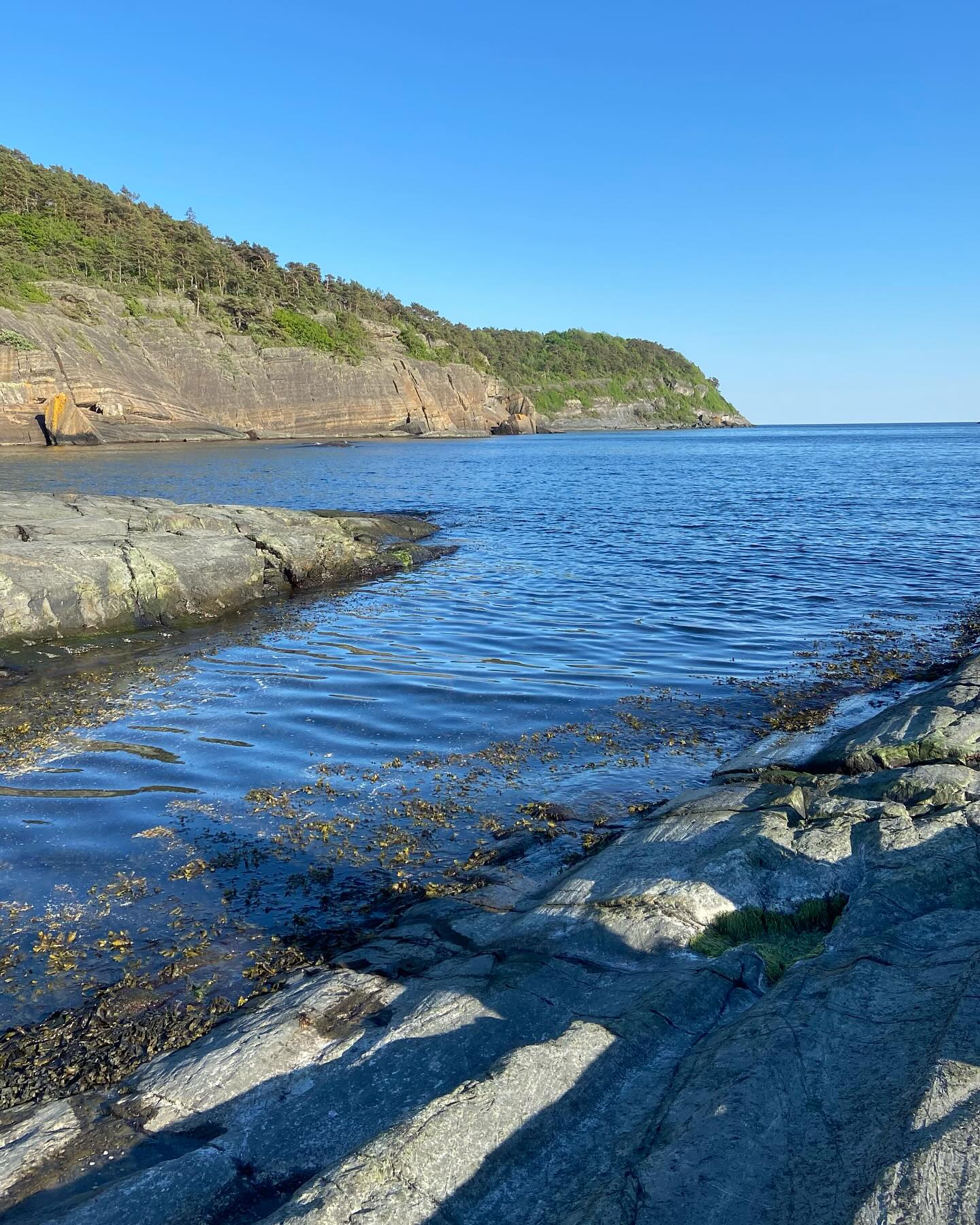 Sommeren er her. ☀️ Nå er det bare å nyte fine dager og kysten, som blir renere for hver dag ettersom @geoparkenrydder meter for meter av vår vakre kyst.
#unescoglobalgeopark #bamble #kyst #cleanoceans #summertime #visittelemark #visitgrenland #utno #langesund #coastline #nytnaturennærdeg
