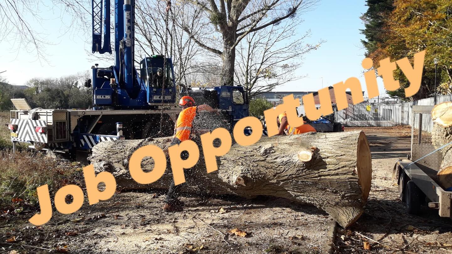 π³π‘ Job Opportunity - Self Employed Climbers/Ground Staff π‘π³
Β
Due to increased work load weβre looking to recruit additional Climbers and Ground staff to help manage our seasonal work within the Gloucestershire and Herefordshire area.
Β
We undertake a range of tree work from domestic clients to large scale commercial projects with all our arboricultural work being completed to a high standard.
Β
If youβd be interested in working with us please get in contact with Dave on 07974 884326 or via email at altarbltd@gmail.com
#altarbltd #jobopportunity #subcontract #treework #arboriculture #arbwork #gloucestershire #herefordshire