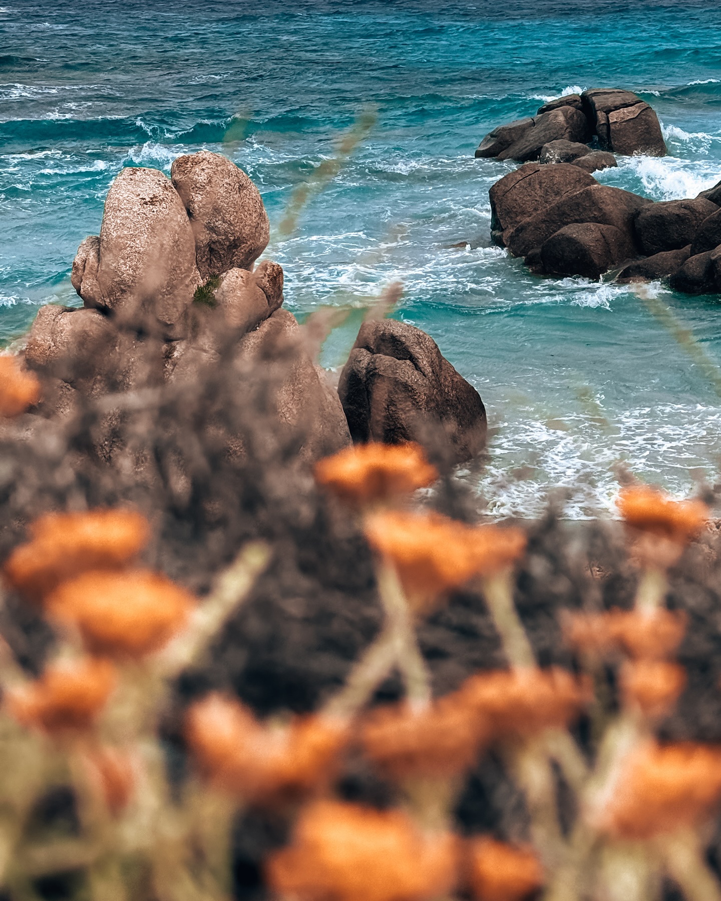 Camera roll La Maddalena ☀️🌅
1. Plage de Trinita
2. Plage del Polpo
3. Des pizzas, la base 🤤
4. On se pose pour le coucher du soleil
5. Impossible de repartir sans manger une gelato
7. Le coucher de soleil depuis la montagne
Sardaigne | La Maddalena | Roadtrip