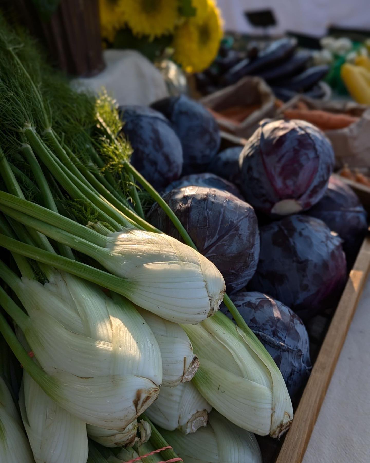 Come visit us at @guelphfarmersmarket and @elorafarmersmarket every Saturday.