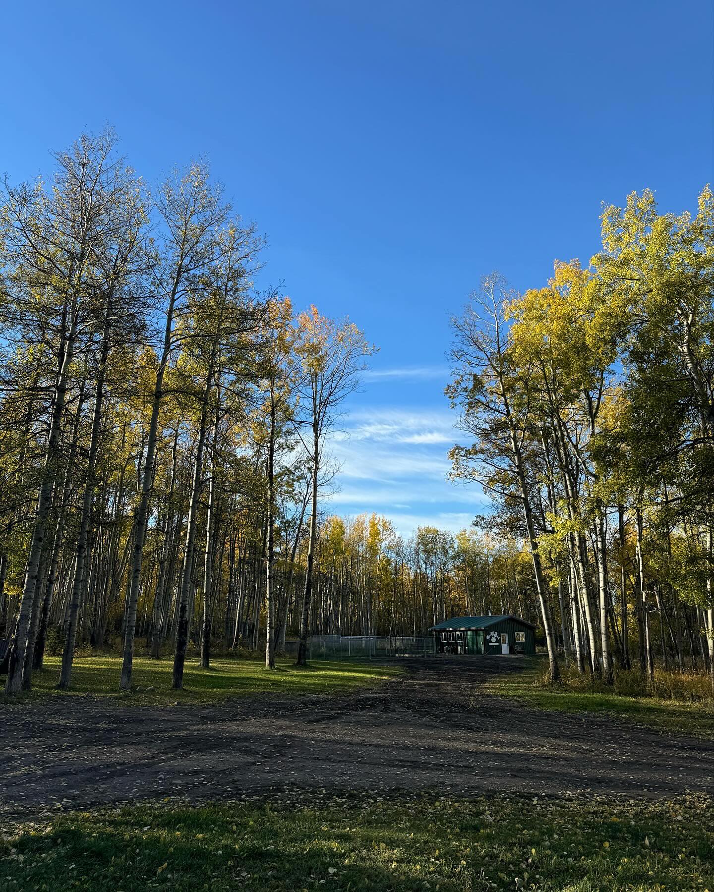 Sunday funday!
I’m sure no one would have a problem with working weekends if they had a face like this at their office 😍