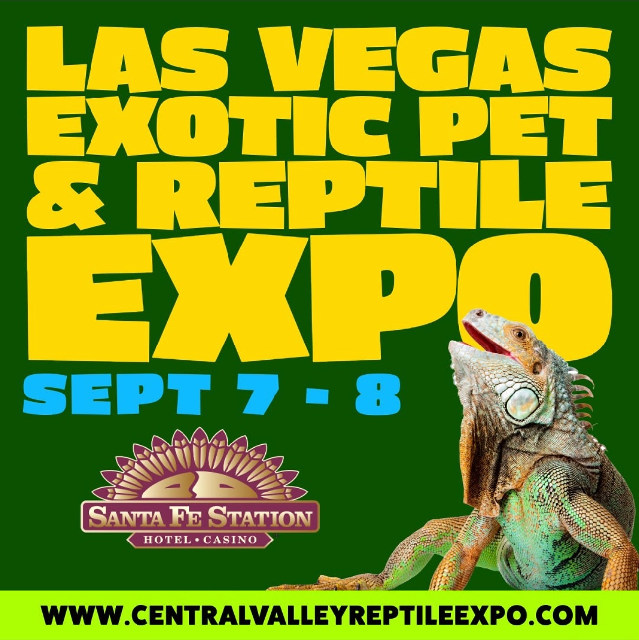 Las Vegas here we are! #marvelmorphs bringing some high quality stuff for all you #geckolovers out there. #lasvegasexoticpetandreptileexpo happening Saturday and Sunday. Hope to see you there.
#crestedgecko #gargoylegecko #leachianus #chahoua geckos and more!