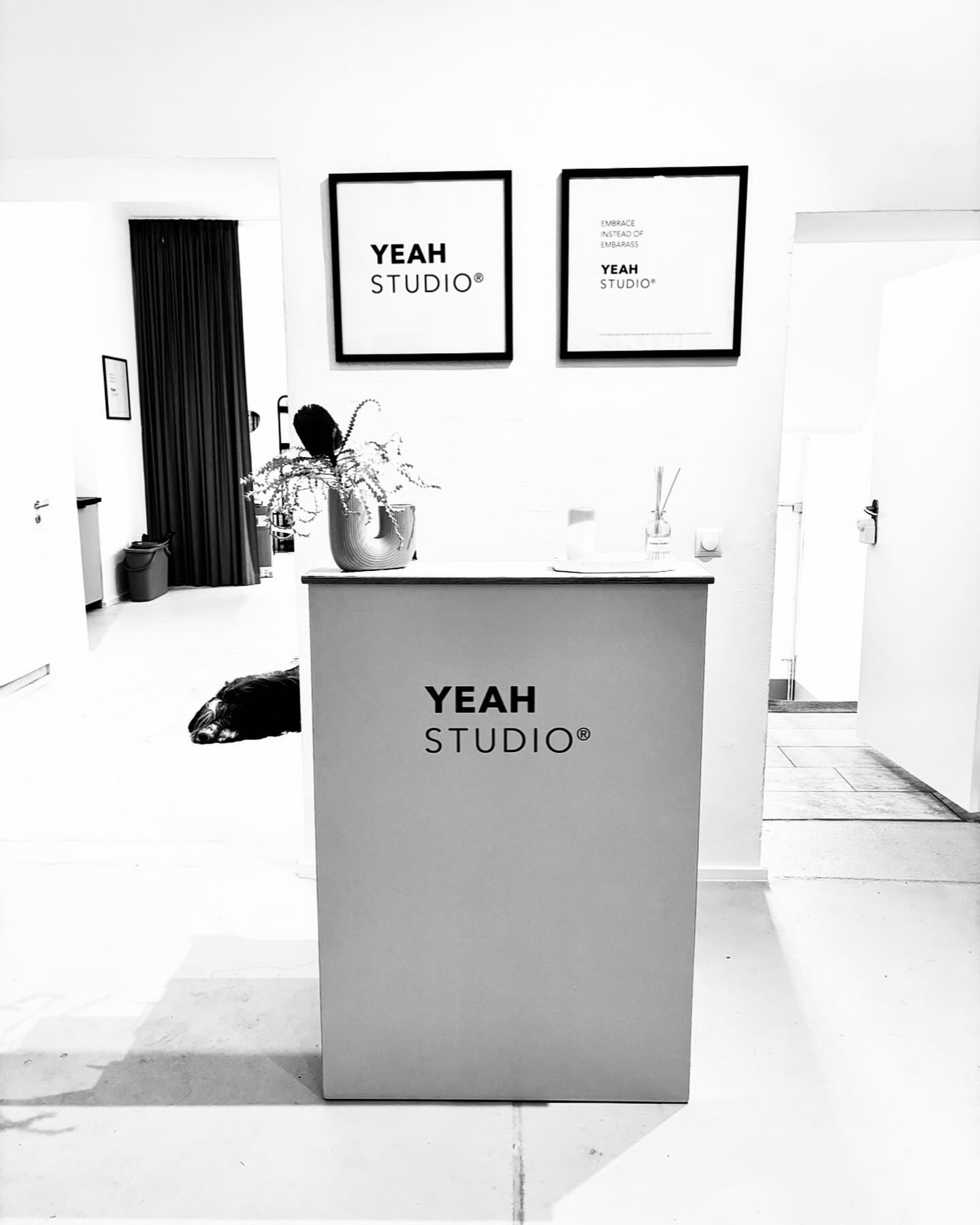 HI YEAH! We are ready for you. You find us in KRZBERG skalitzer str 104. you gonna walk straight straight ahead to the 2nd backyard and will find our little YEAH! oasis groundfloor left. You will realize that you already leave the busy buzzy behind you while entering the space where SWEAT SOUL SPIRIT is fully on. #yeah #oasis #breathe #pilates #barre #fitnessroutine #urbansportsclub