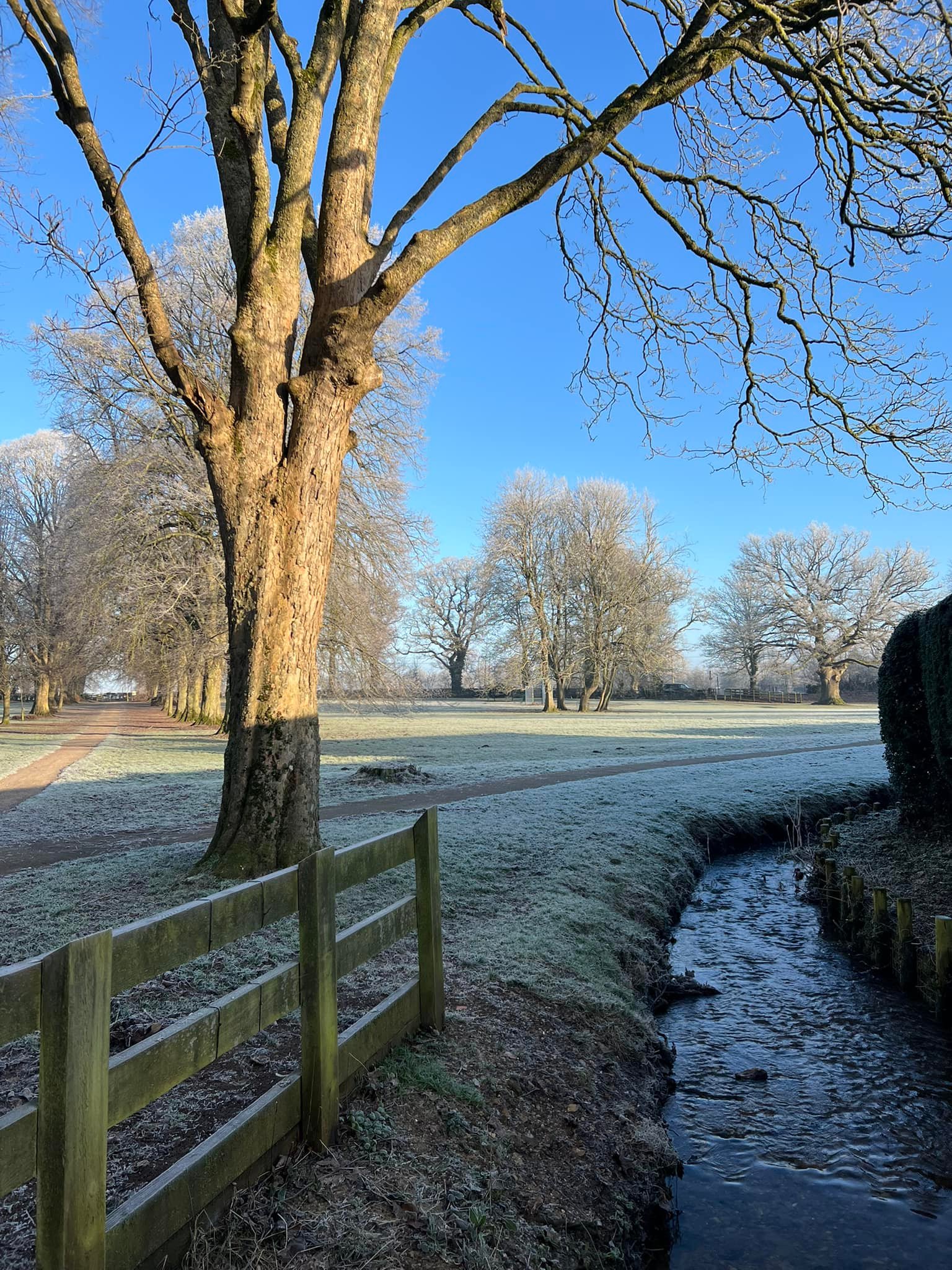 It was -5 degrees Celsius this morning but we had sunshine! ☀️ Beautiful frosty Queen Victoria Gardens.