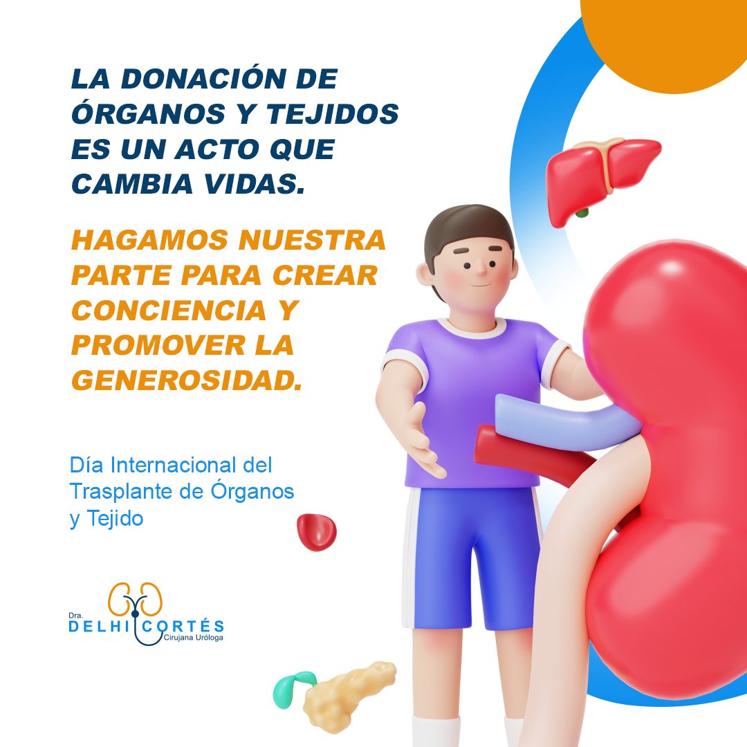 Cada trasplante es una oportunidad para un nuevo comienzo. En este día, honremos a los donantes y a aquellos que han recibido una segunda oportunidad. 🌈
Agenda tu cita 👇
⚕️Doctoralia: https://www.doctoralia.com.mx/yeniseik-delhi-cortes-vazquez/urologo/san-andres-cholula
📞 Teléfono: 222 227 2713
✅ WhatsApp: 561 213 3757
Dirección:
📍 Periférico Ecológico 3507, int. 1229, Col. Emiliano Zapata, San Andrés Cholula
Horarios:
🕗Martes y jueves de 16:00 a 20:00 hrs
🕗Sábados de 10:00 a 14:00 hrs
👩⚕️ Dra. Delhi Cortés
Médico general, C.P. 09137489
Especialidad en urología, C.P. 12342044
Certificación del consejo Mexicano de Urología, 1787
#urología #urologo #médicourologo #urologa #urologocholula #urologacholula #médicocholula #urologoTlaxcala #Puebla #Tlaxcala #Cholula