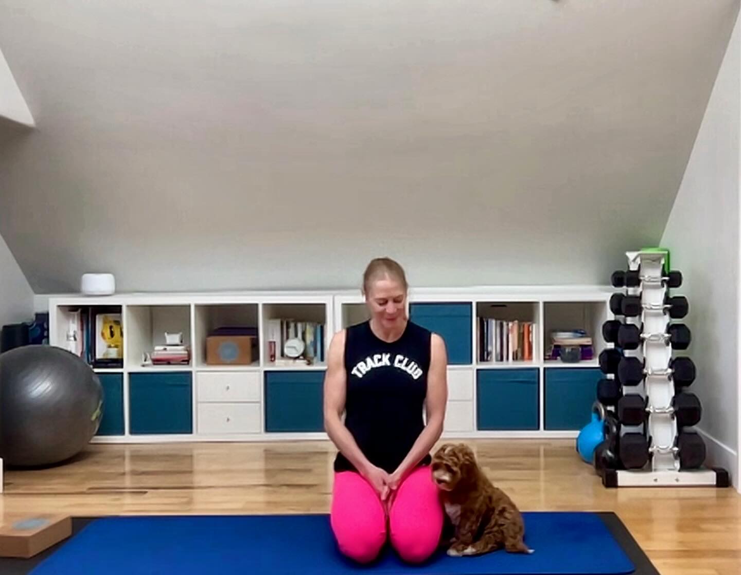 Tonight was day two of Livi's training to be my fitness sidekick. She already loves the camera, my yoga mat, and the sound of my voice counting out reps for hours on end. I can't wait to teach her how to do burpees 🐶🥰#fitnessshouldbefun #puppytraining #onlinefitnesstrainer #virtualtraining #strengthtraining #mobilityclass