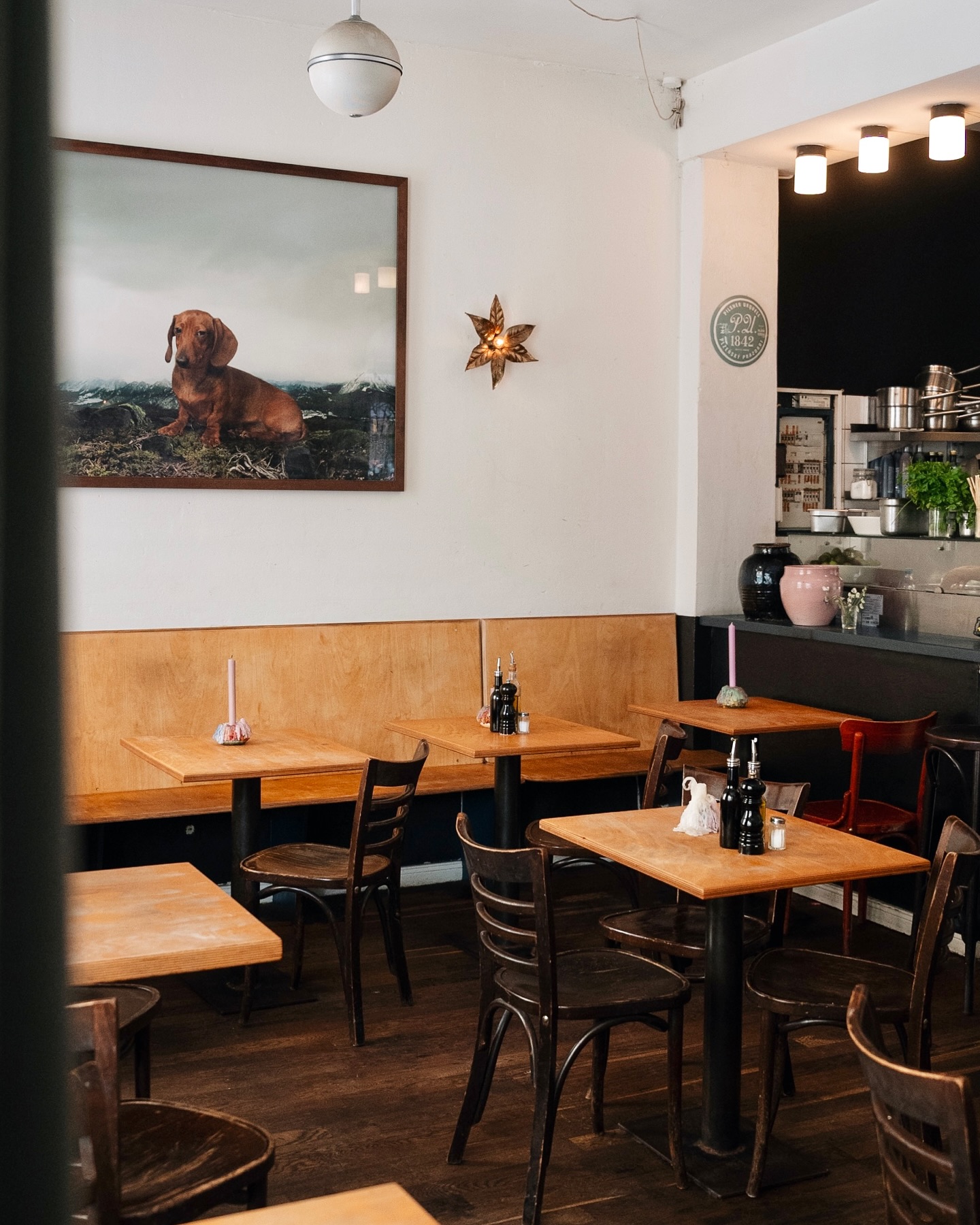 Come on by – wir freuen uns ab morgen Mittag wieder auf euren Besuch! 😍 Immer Montag bis Samstag von 12 bis 23 Uhr ✌🏼 #mädchenitaliener #restaurant #berlinfood #berlinfoodguide #berlineats #foodberlin #eatinginberlin #italianfood #berlin