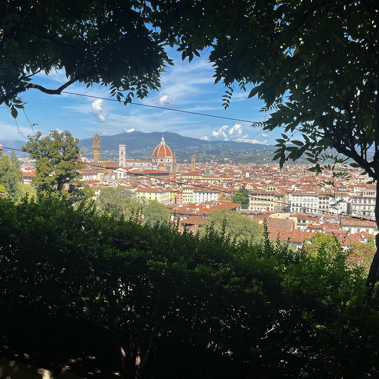 Wonderful to be back in Florence after many years. About 12 years ago @tipperarytom gave me this wonderful book about Brunelleschi’s dome to give me a bit of perspective when i was getting frustrated with the red tape of a public tender he was helping me with. I have been re-reading it ahead of this trip. Gives great insight into this incredible feat of engineering that the dome was. It dose leave me questioning when the appreciation of craftsmanship and art has become so incredibly diluted to almost extinction. The Cathedral itself took over 100 years to build. Build by highly skilled craftsmen and artists. Funded buy the Florentine guilds. Brunelleschi spent over 16 years working on the dome alone. Lorenzo Ghiberti spending almost 50 years of his life creating two sets of brass sculpted doors for the adjoining Baptistery. Hard to fathom any artist being given those kind of timelines for an art piece in this very different times.