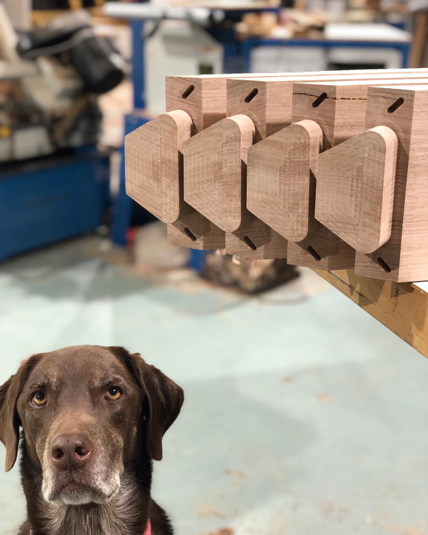 Quality control watching with keen eyes 👀