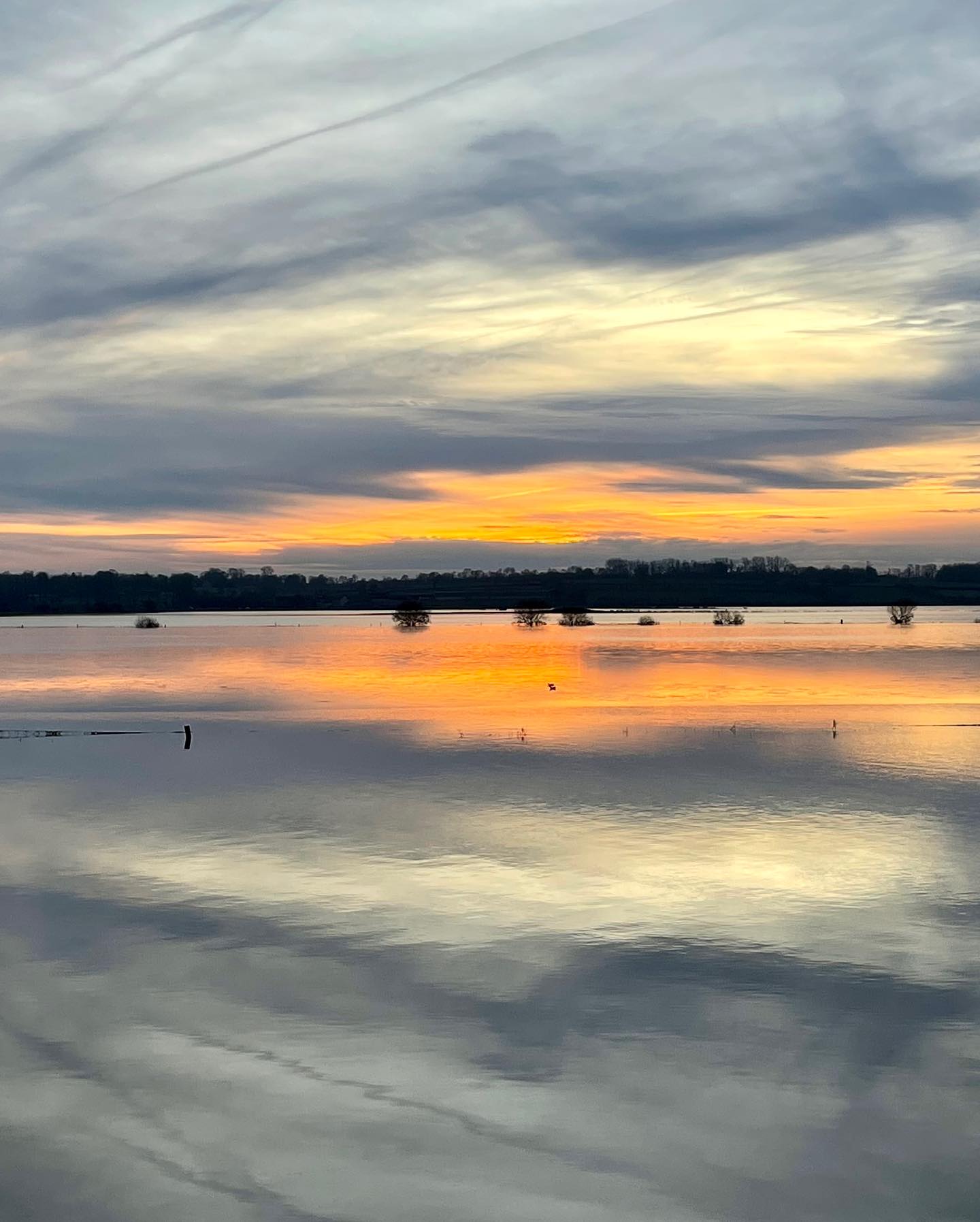 Les marais blancs 2024…on ne s’en lasse pas 😍
