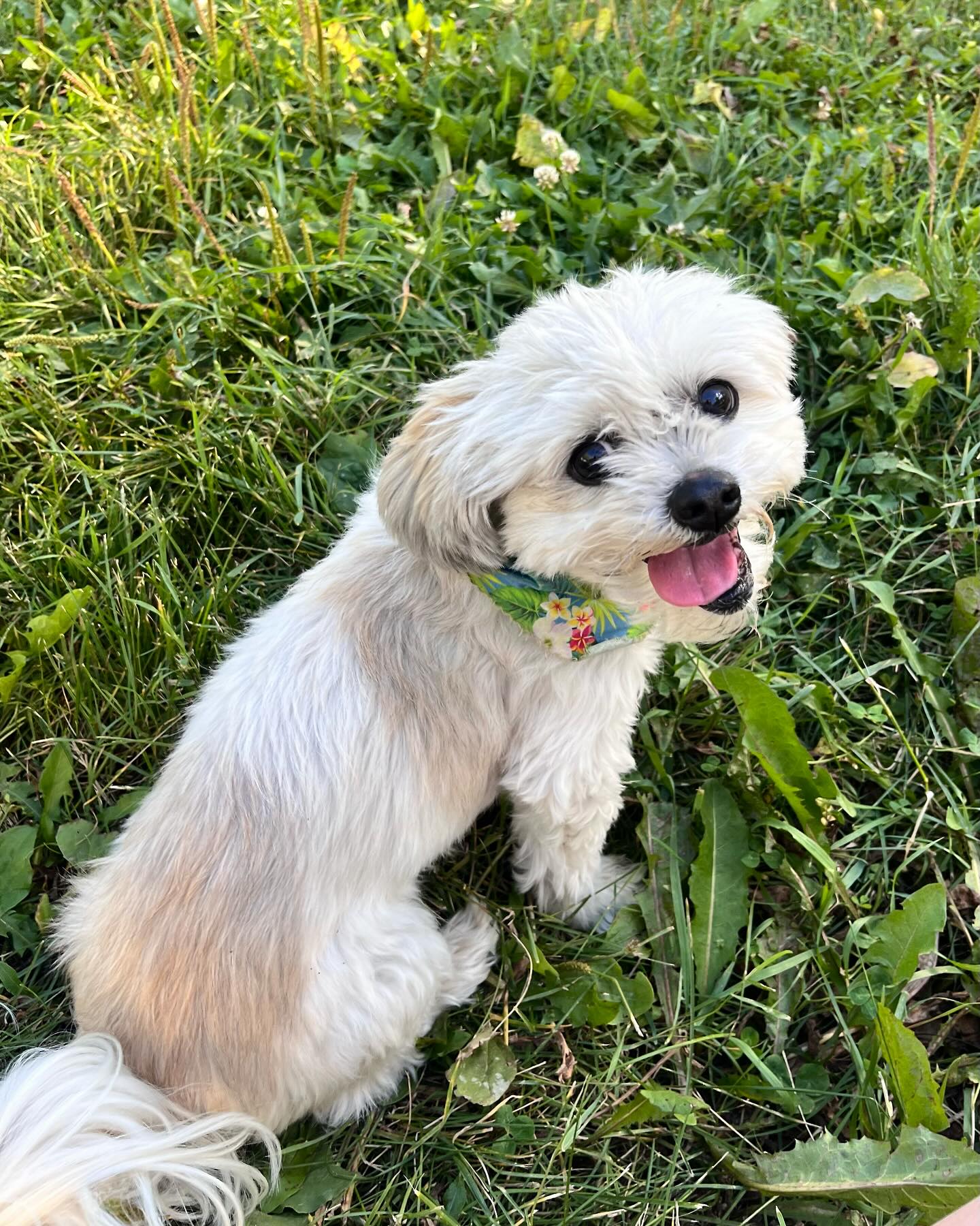 Safe to say Ruby stole my heart 💕 Who could resist a smile like that?