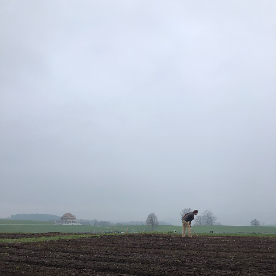 Dieses Jahr probieren wir ein neues Gemüseanbausystem, mit kleinen Beeten und Wegen. Dabei ist eine effiziente Handarbeit gefragt, ganz ohne Traktor und Bodenverdichtung. Wir erhoffen uns weniger Arbeit, bessere Erträge und eine noch bessere Qualität des Gemüses. Es wird sich zeigen, ob wir richtig liegen😊 Wir halten euch auf dem Laufenden.
.
.
#gemüseanbau #nachhaltig #ohnetraktor #kompost #bodenleben #biodiversität