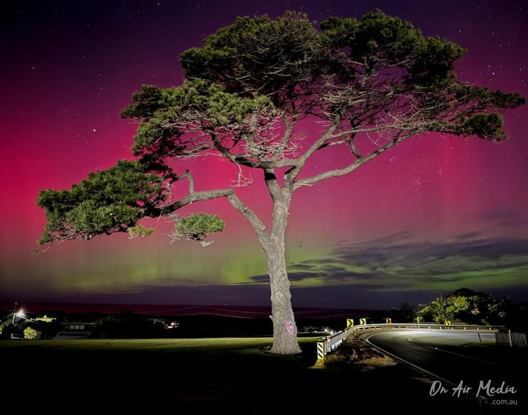 Love where you live! This tree sits on a prominent corner in our little town and has a view of the ocean. This scar where a limb was taken had always been heart shaped and has been painted. When the Aurora hit last night I had to go get some photos. 12 Aug 2024 10pm IPhone 15 #arouraaustralis #oceangrovevictoria #tourismvictoria #greatoceanroad #onairmedia