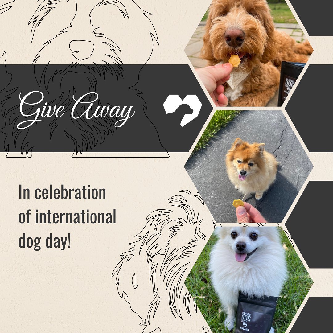 ๐ Happy International Dog Day Giveaway ๐
In celebration of our puppies on this special day, we will do a fantastic giveaway ๐คฉ
๐พ A regular bag of treats for 3 lucky winners - your choice of flavor (pumpkin, banana or apple) ๐
To enter, itโs easy:
โข Follow @doganic_official
โข Tag a friend in the comments
โข Each comment is an additional entry
โข Share to your stories tagging our account
The winners will be announced Monday, August 26th in our stories.
โข Open to US residents only, 18+ years old
โข This giveaway is not sponsored or affiliated with Instagram