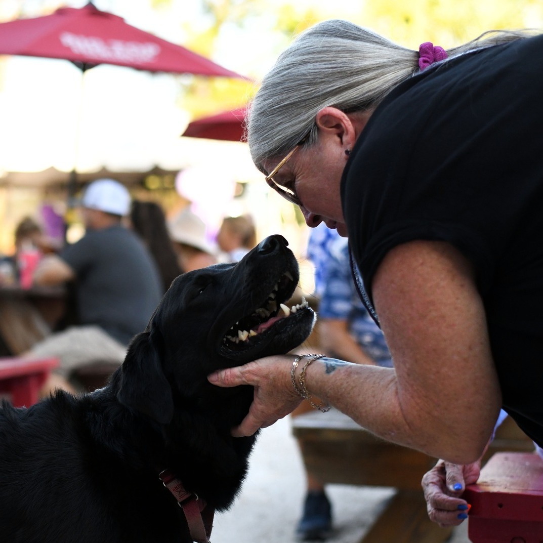 What a wonderful evening @satchelslastresort hosted at @bigtop_cocknbulllive last night! Their Eras Tour-inspired Satchel's Giving Day was a big success with wonderful raffles, live music by @kettleoffishrocks and lots of friendly faces - furry ones included!
I'd definitely say they are in their glittering prime! Thanks for having me ✨😍🐾
#SatchelsLastResort #BigTopBrewing #KettleOfFish #Sarasota #SarasotaEvents #SRQ #CandidPhotography #DocumentaryPhotography #CandidSRQ