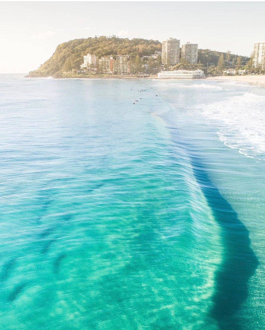 Crafted by the coast, inspired by the ocean. Experience the essence of the Gold Coast in every sip of our beer. 🌊🍺
📸: @issydphoto
.
.
.
.
#GoldCoastBrews #CraftBeer #OceanInspired #cheerstous #SipAndEnjoy