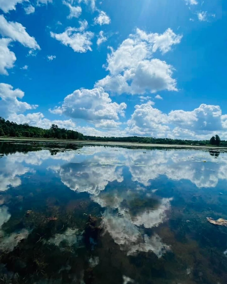 🌞There’s nothing like a northern Minnesota summer!