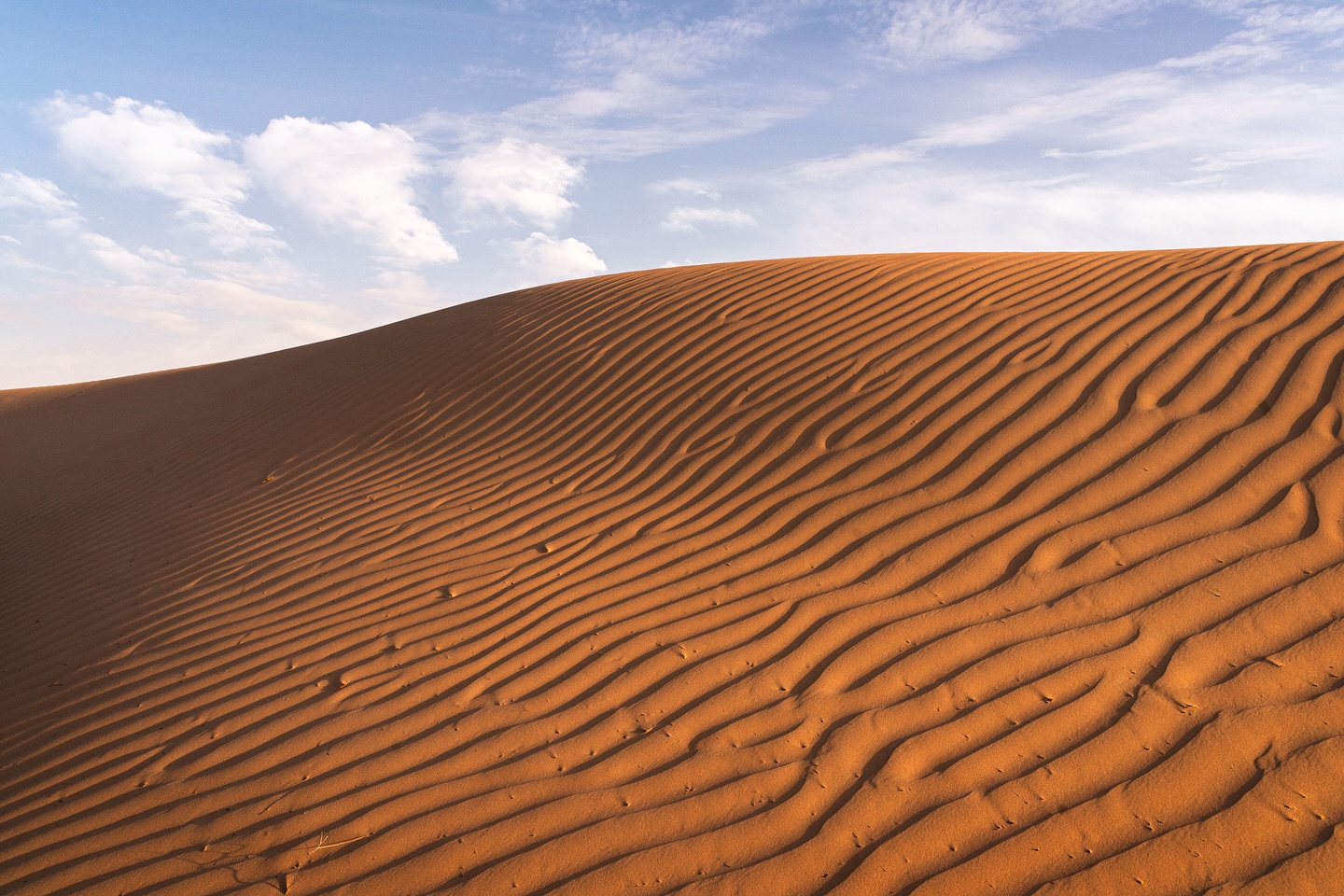 Nature’s Artistry
More and more often, I’m finding myself drifting back to the mesmerising landscapes of Dubai’s sand dunes and deserts.
I’m just surprised at how much I enjoyed scrambling through the dunes, exploring unique perspectives from different angles - from the base, where the dunes rise majestically, to the summit, where the world stretches out in all its vastness.
So many childhood memories of climbing these dunes growing up in Dubai, never did I imagine returning some day with a camera in hand hunting and capturing these unique natural wonders!
.
. .
. . .
. . . .
#dubai #dubailife #desertlife #desertlandscape #desertphotography #desertsky #dubaidesert #lisaili #arabianadventures #sanddunes #dunes #sandsoftime #uaedesert #travelphotography #wanderlust #landscapephotography #natgeotravel #ig_dubai #yourshotphotographer #earth_shotz #escapeandwonder #roamtheplanet #desertvibes #eclectic_shotz #desertadventures #goldenhour #raw_allnature #travelgram #offroad #habibi