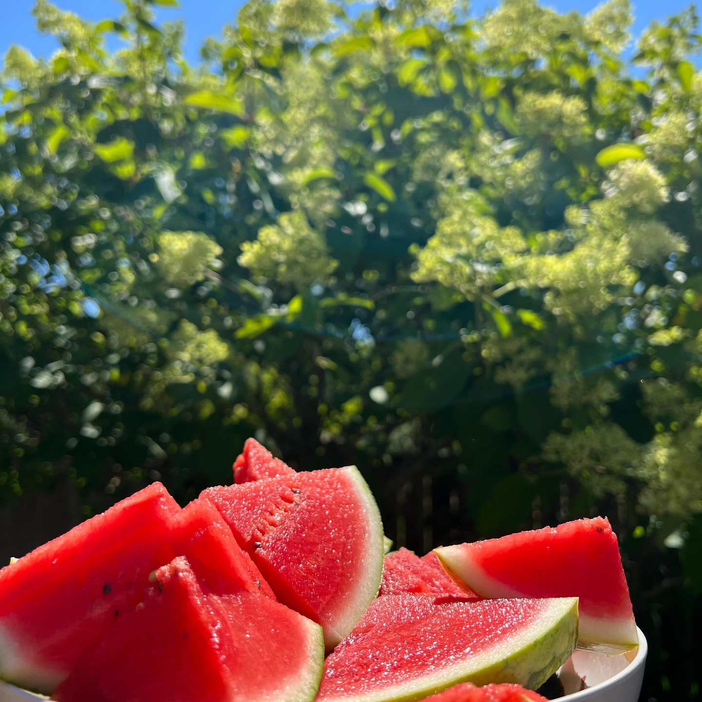 sweet summertime 🍉