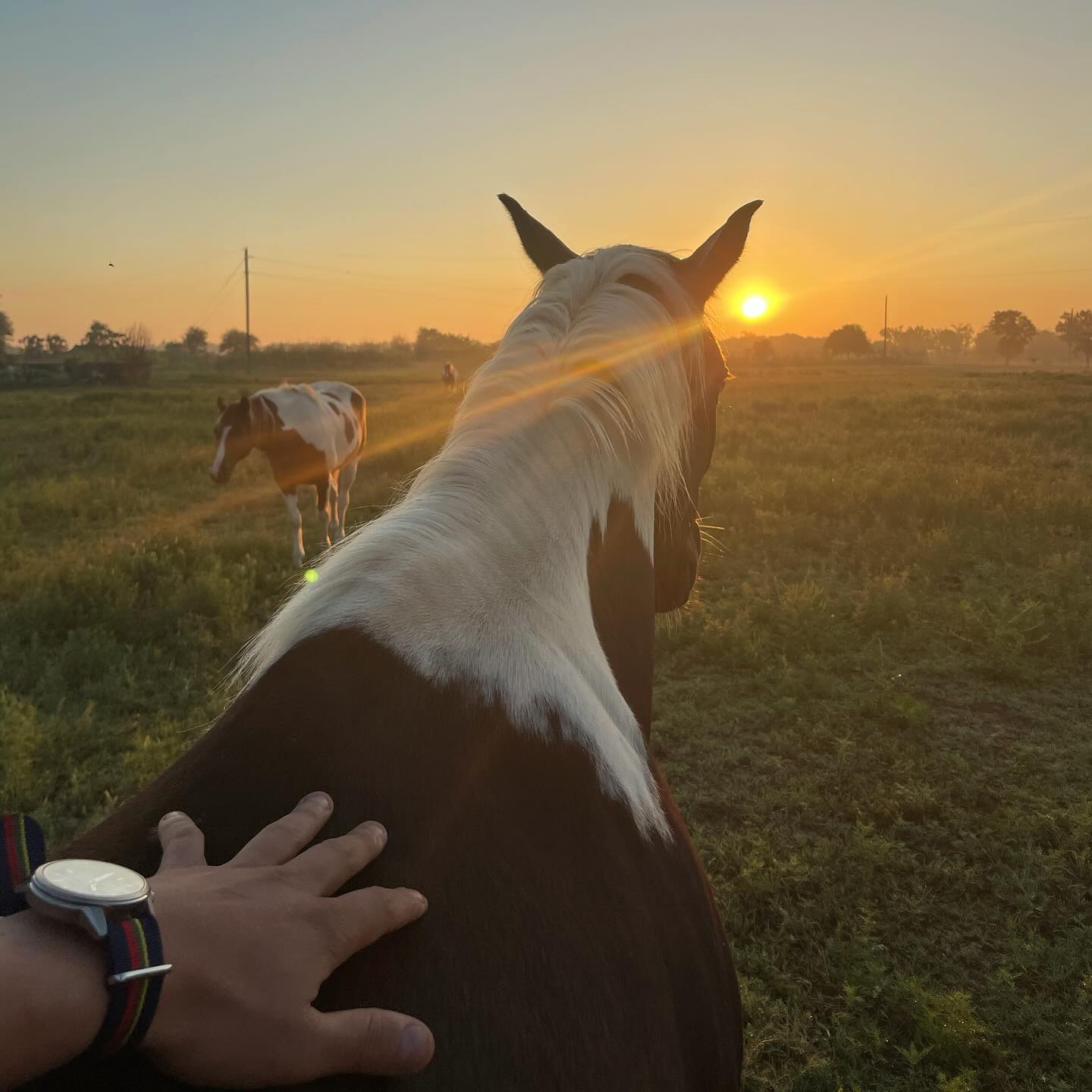 Experiencing a rancho grande sunrise while bonding with a horse—what a beautiful feeling!