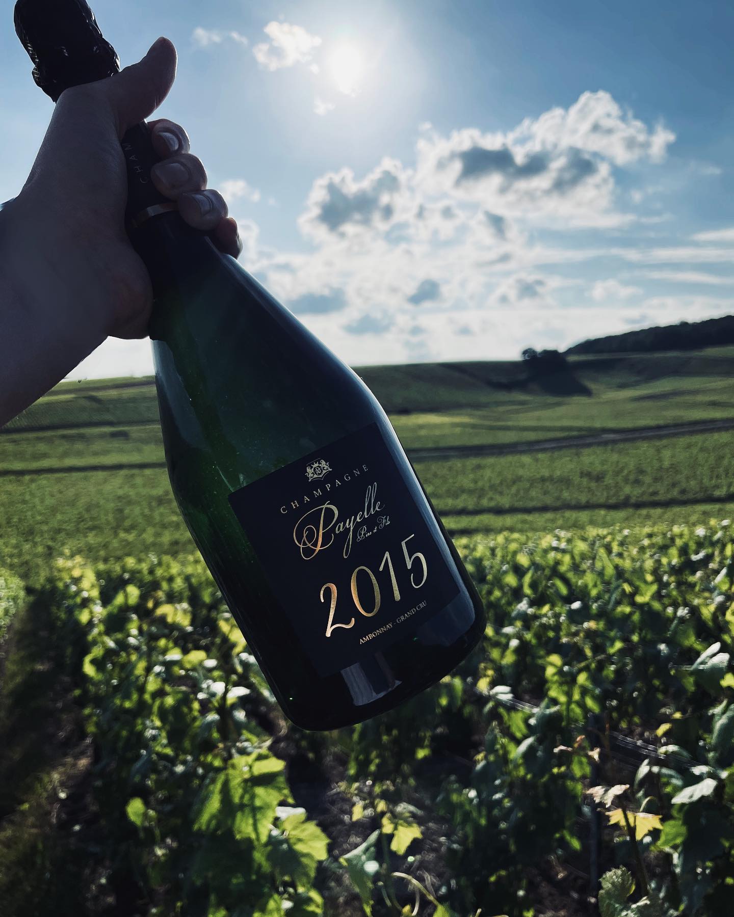 MILLESIME 2015 🍇 le retour du beau temps nous donne des idées… 🥂