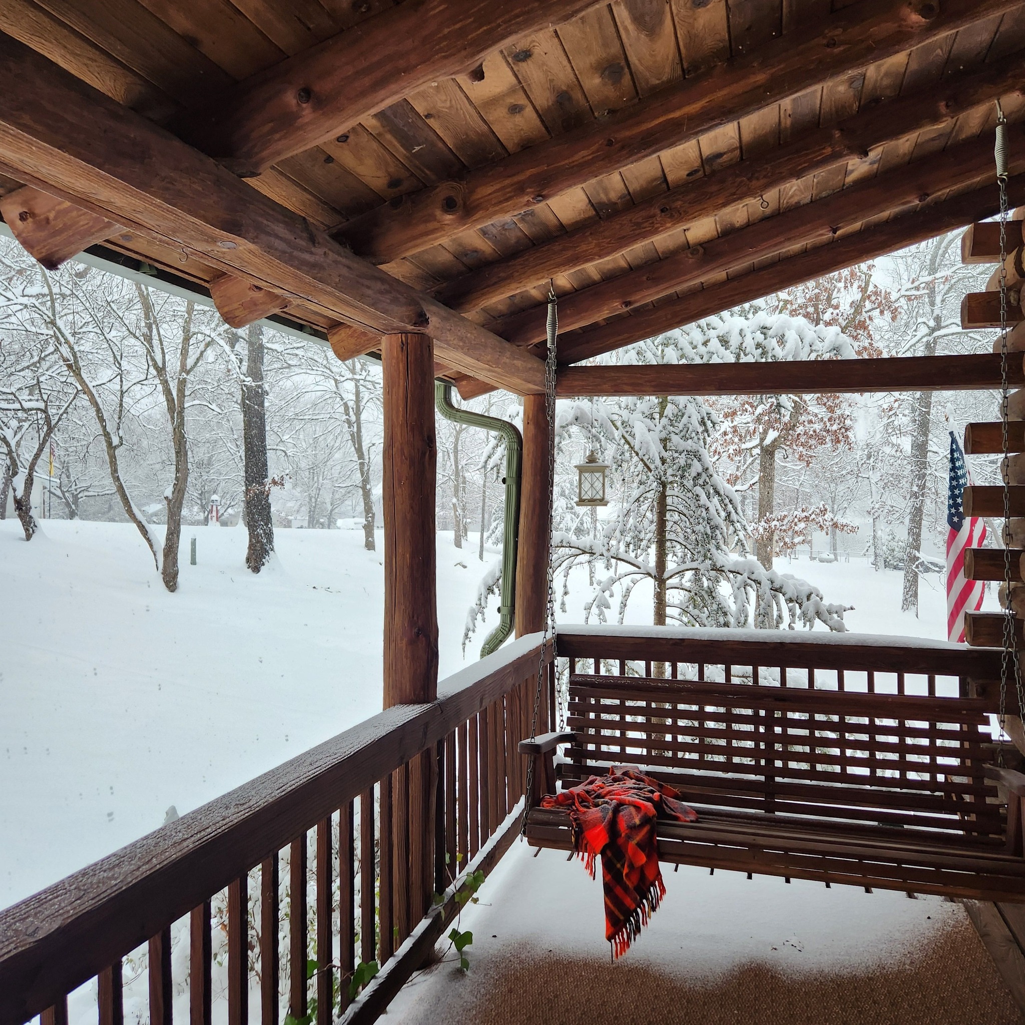 Today at the cabin. I think our 9 1/2" is a plenty. Sure is pretty, though.