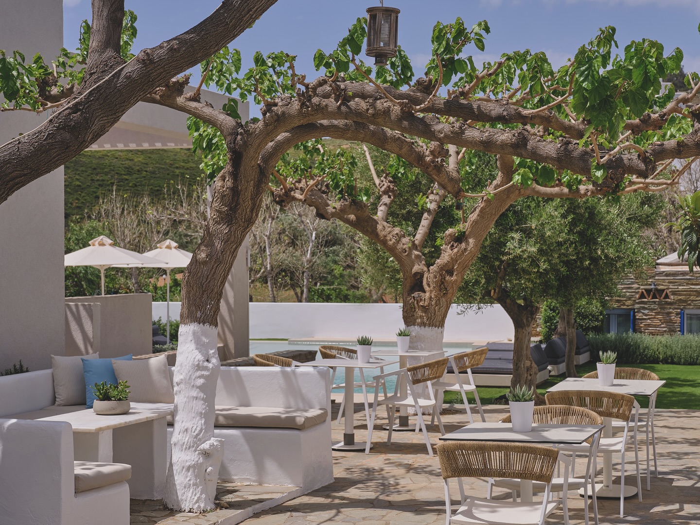 Savoring the sun at our yard is a natural stress reducer 🙏🏼☀️
.
.
.
#aelia #andros #greece #greekislands #familyholidays #visitandros