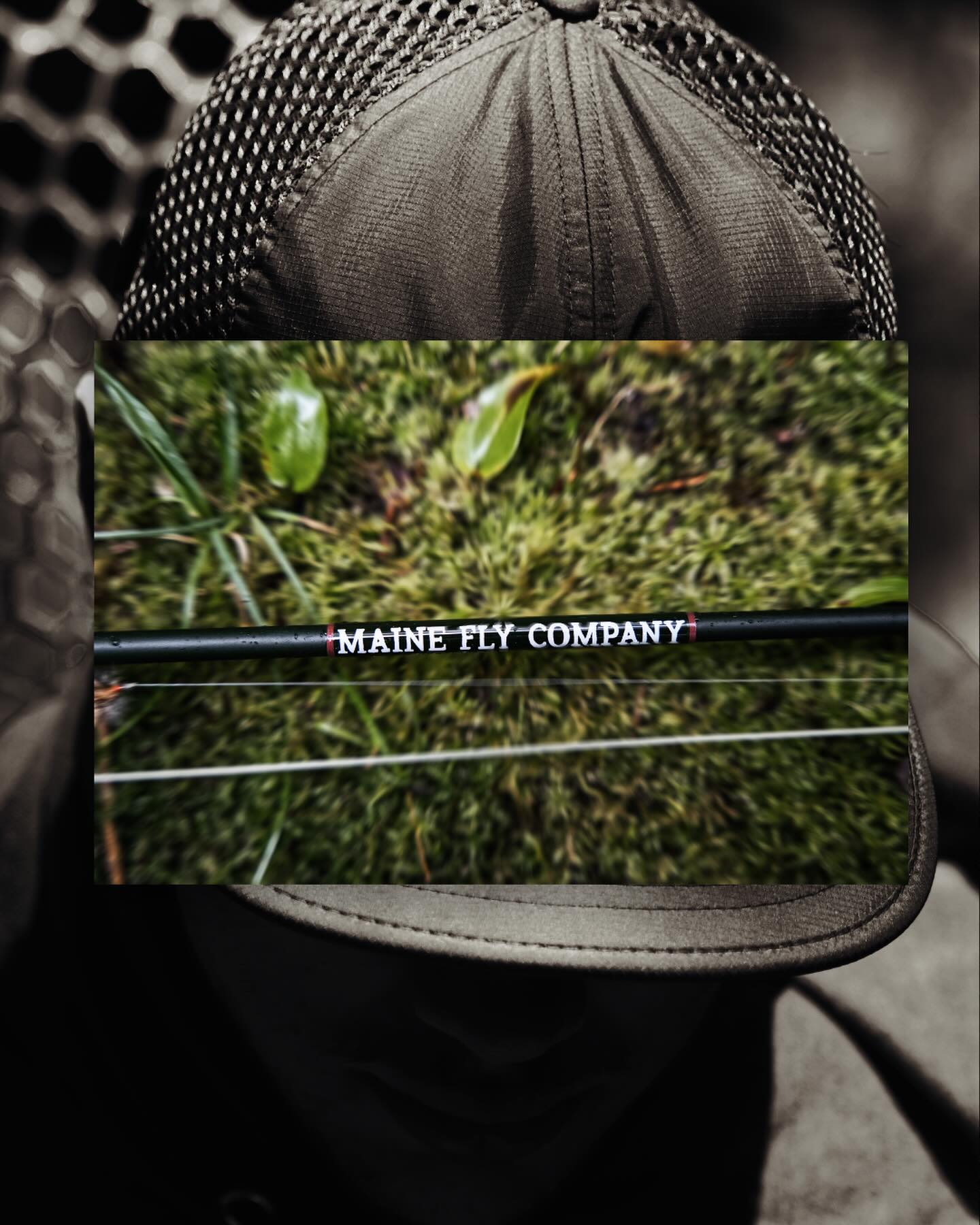 A return of old adventures… Full blown Spring isn’t here just yet in New Hampshire, but it’s surely on the horizon.