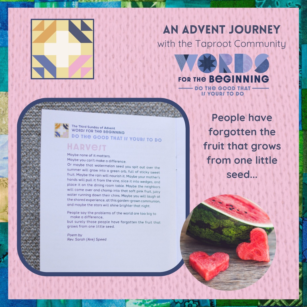 Dec 15th: Maybe none of it matters.
Maybe you canât make a difference.
Or maybe that watermelon seed you spit out over the summer will grow into a green orb, full of sticky sweet fruit. Maybe the rain will nourish it. Maybe your motherâs hands will pull it from the vine, slice it into wedges, and
place it on the dining room tableâŠ
âfrom âHarvestâ by Rev. Sarah Speed | @sanctifiedart
#taproot_pnw #journeytogether #advent #SeedsOfChange #seedsofhope #seedsoflife