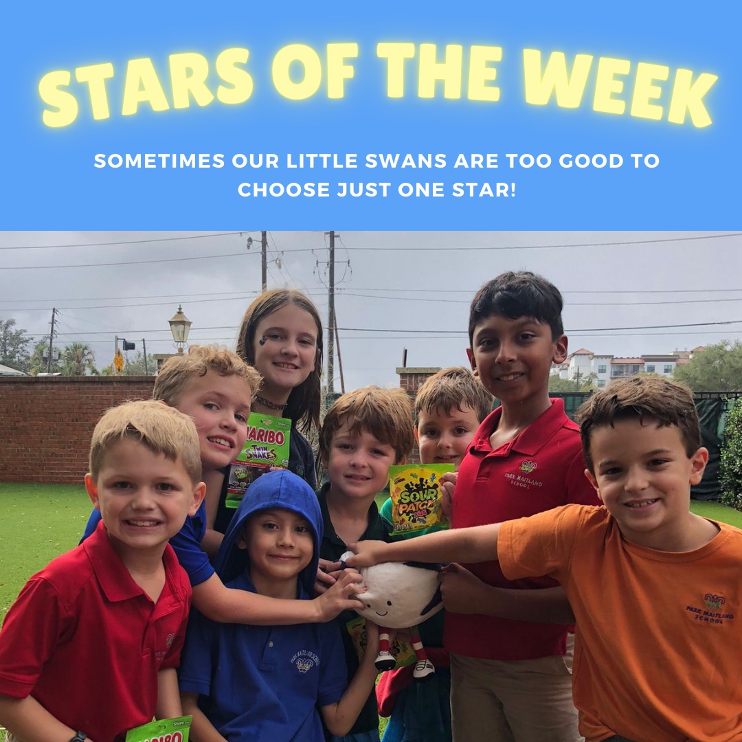 As our sessions at one of our schools come to a close, we simply can't pick just one Star of the Week from this incredible group of Little Swans...🦢
From their first day on the field to now, they’ve shown tremendous commitment, teamwork, and enthusiasm in learning the game of rugby. It’s been amazing to watch each child develop new skills, build confidence, and embrace the challenge of a new sport. We can't wait to see how they continue to grow next term! 🏉 ⭐ 🦢