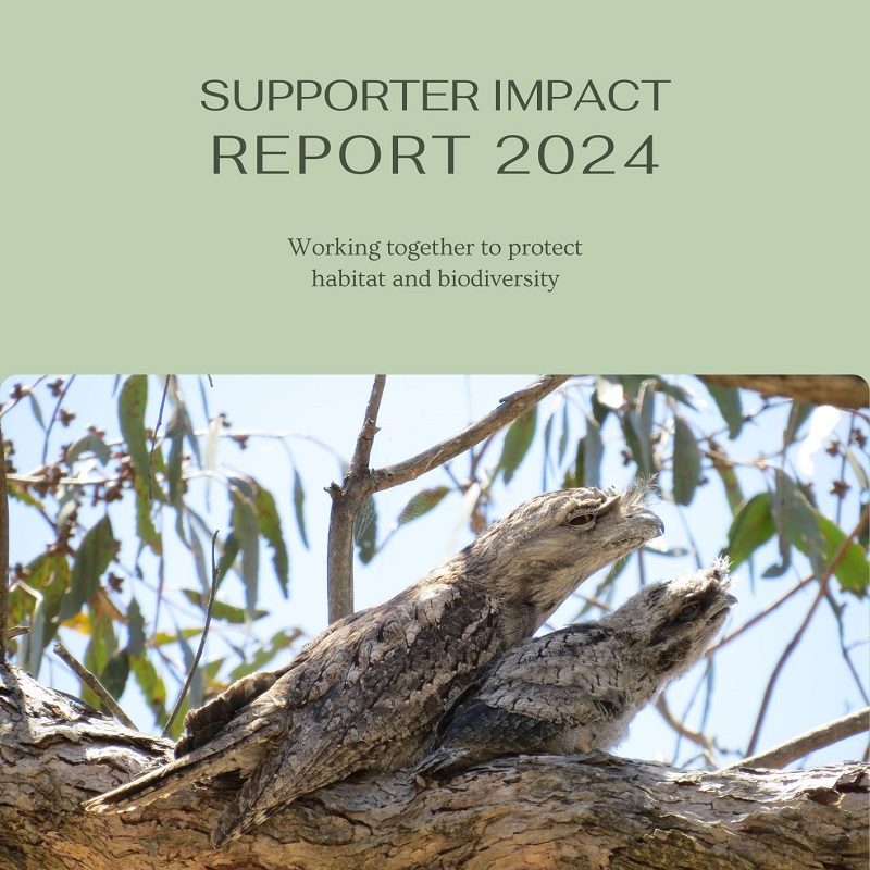 Our 2024 Supporter Impact Report is now available!
Read about our conservation activities, achievements, new initiatives and all the latest news on our efforts to protect habitat and biodiversity.
Download the Report from our website: https://www.roundthebend.org.au/single-post/supporter-impact-report-2024
#privatelandconservation #conservation #landcare #protectnature #biodiversity